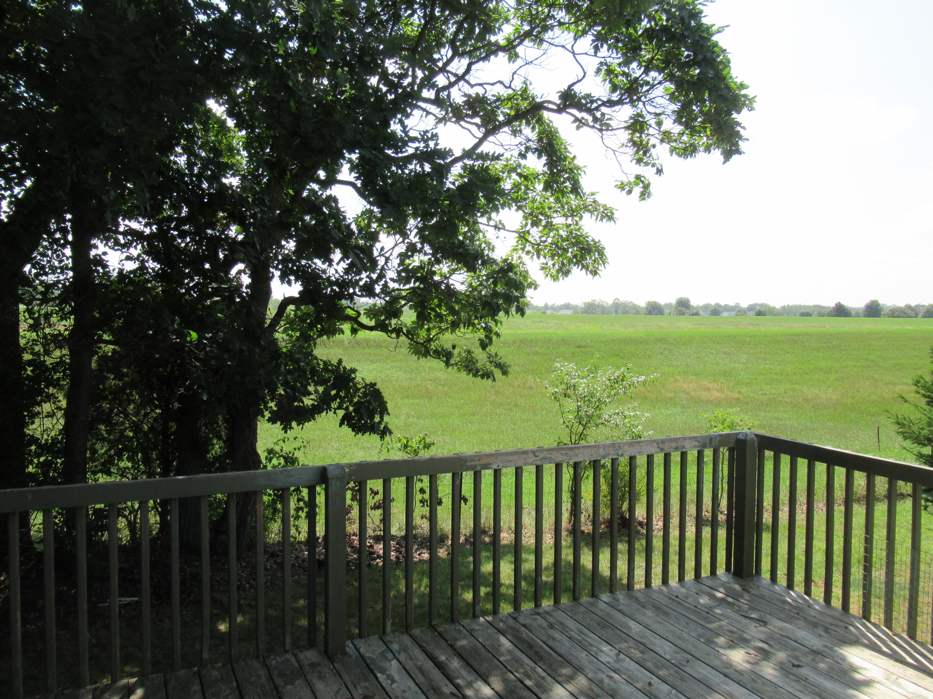 898 Millwood Trail Property Photo 10