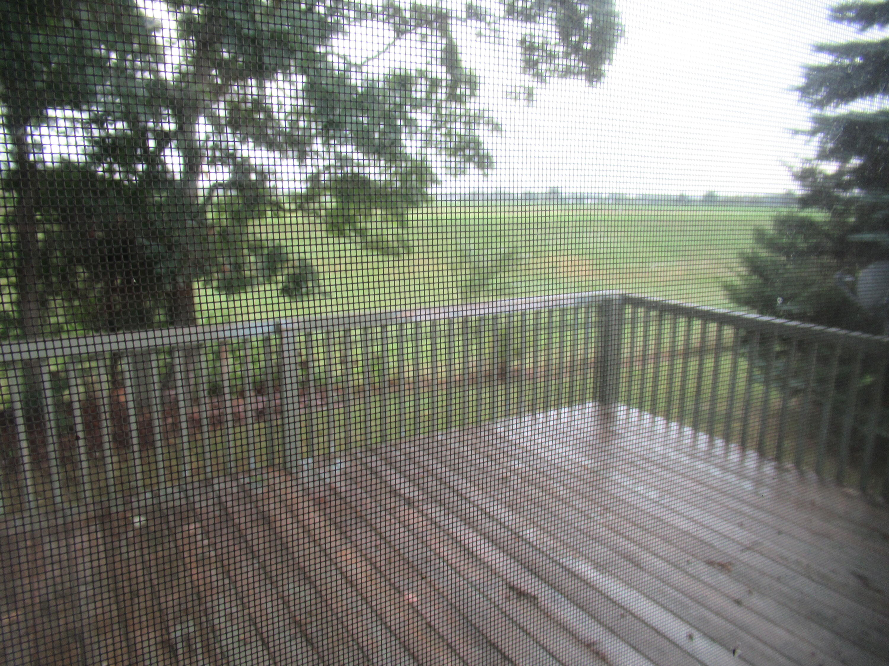 898 Millwood Trail Property Photo 11