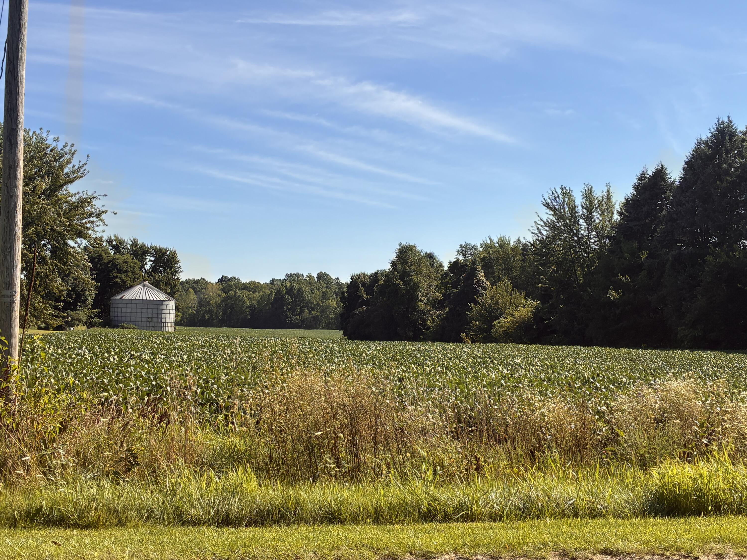 W County Road 365 Property Photo 1