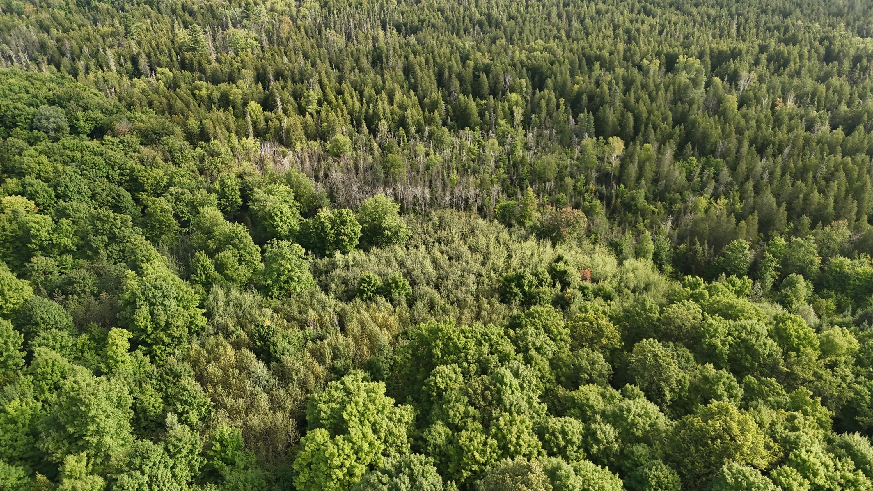Vl Perrin Brothers Trail Property Photo 18