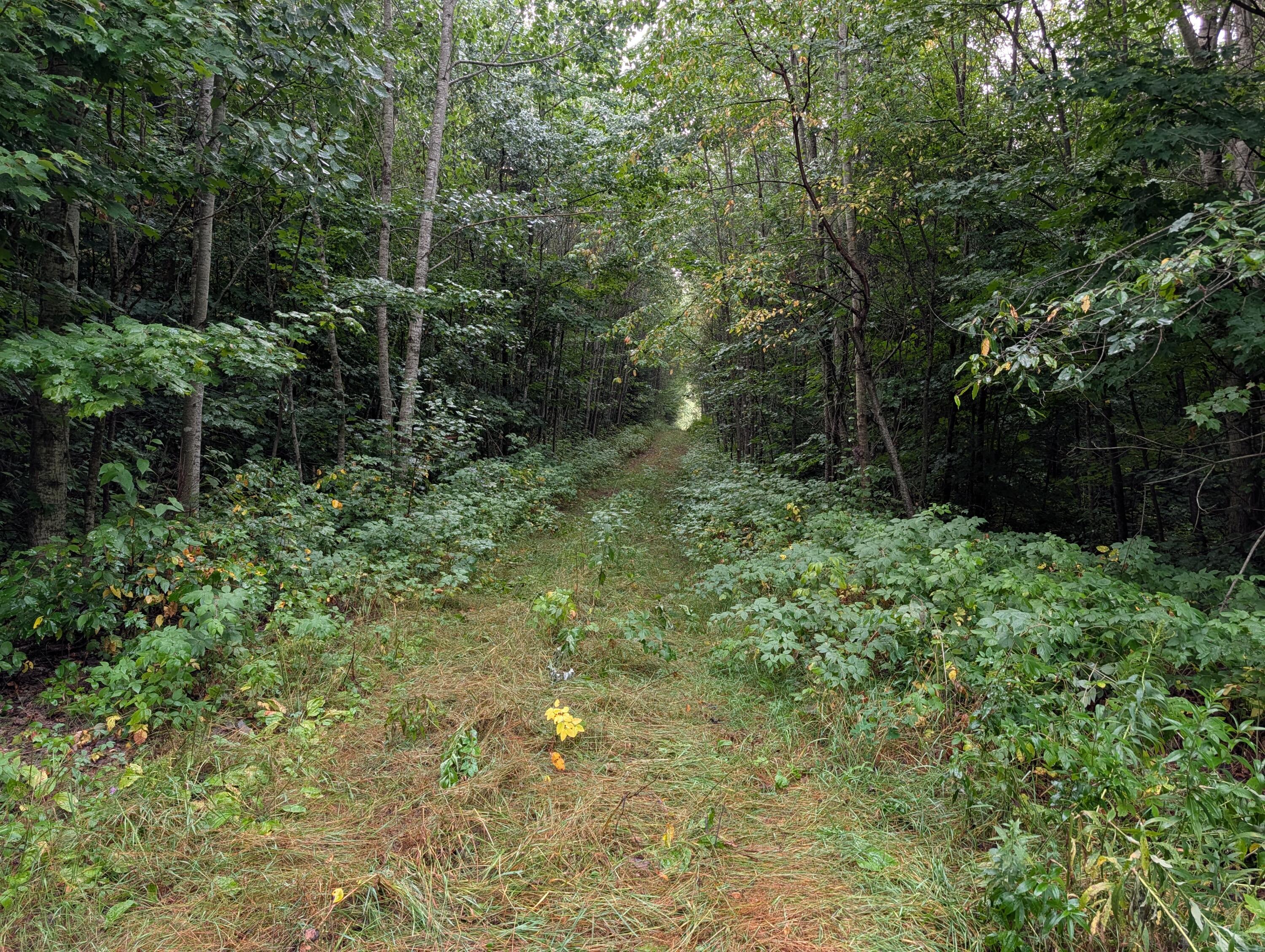 Vl Perrin Brothers Trail Property Photo 24