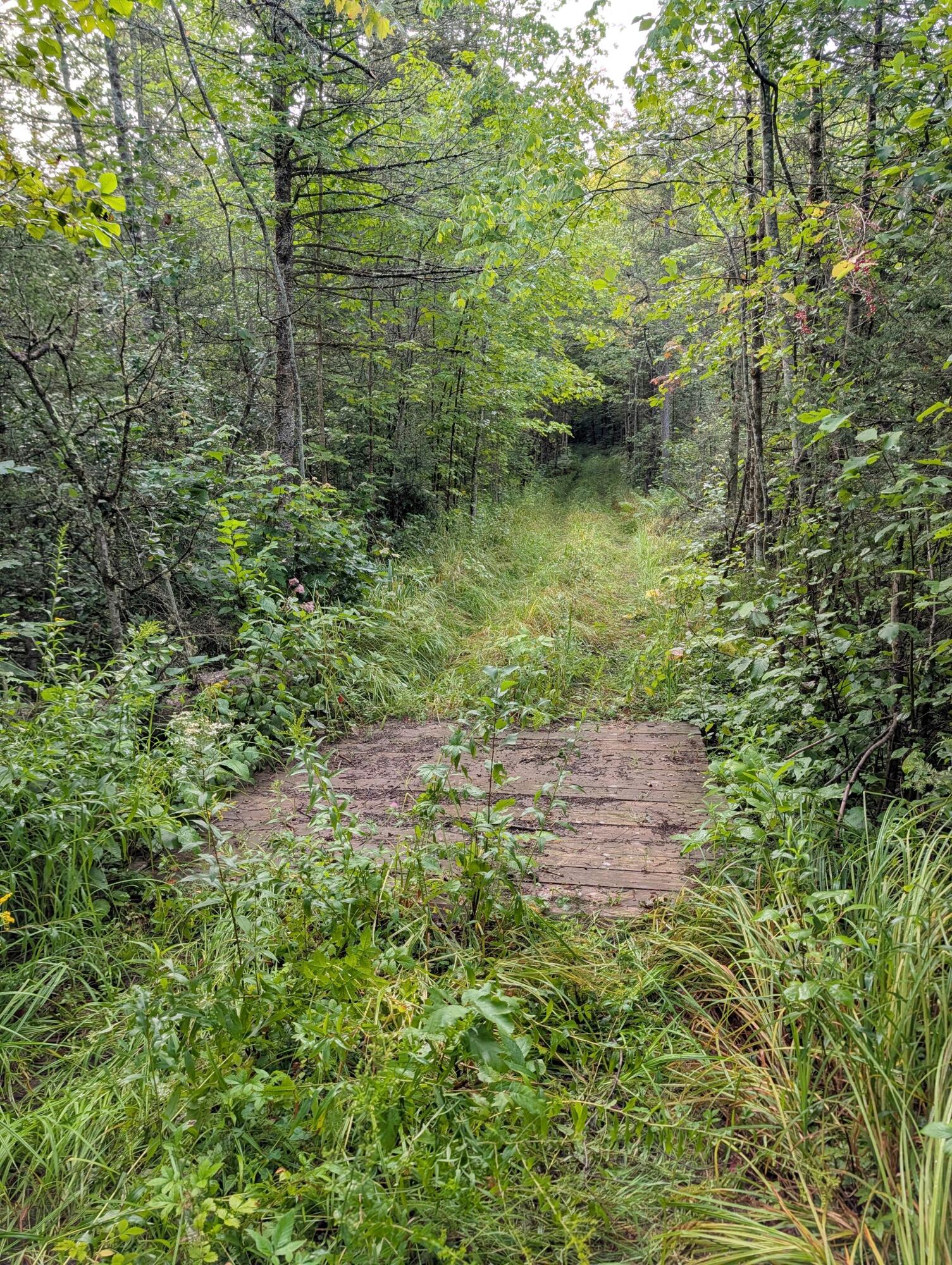 Vl Perrin Brothers Trail Property Photo 26