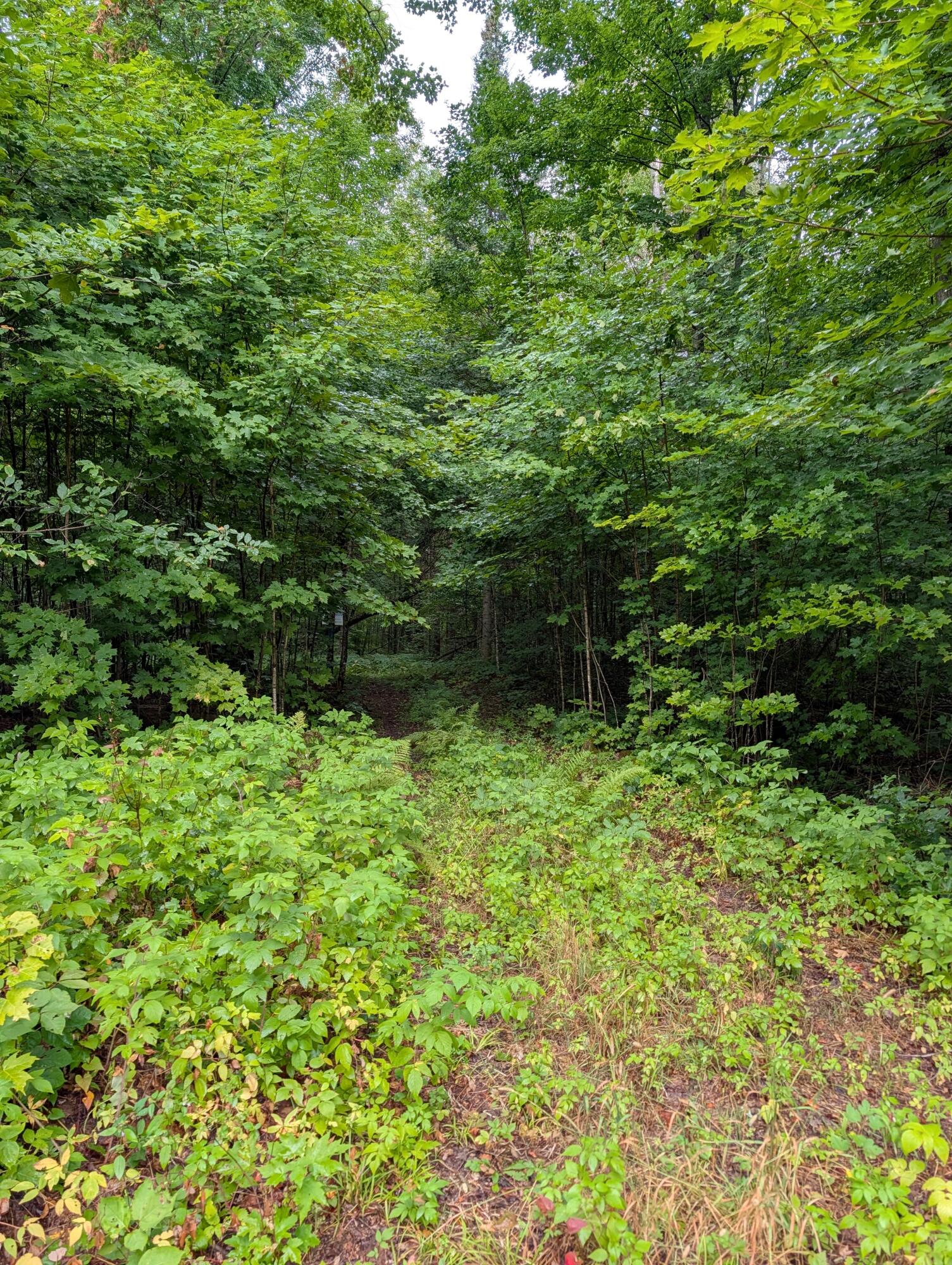 Vl Perrin Brothers Trail Property Photo 34