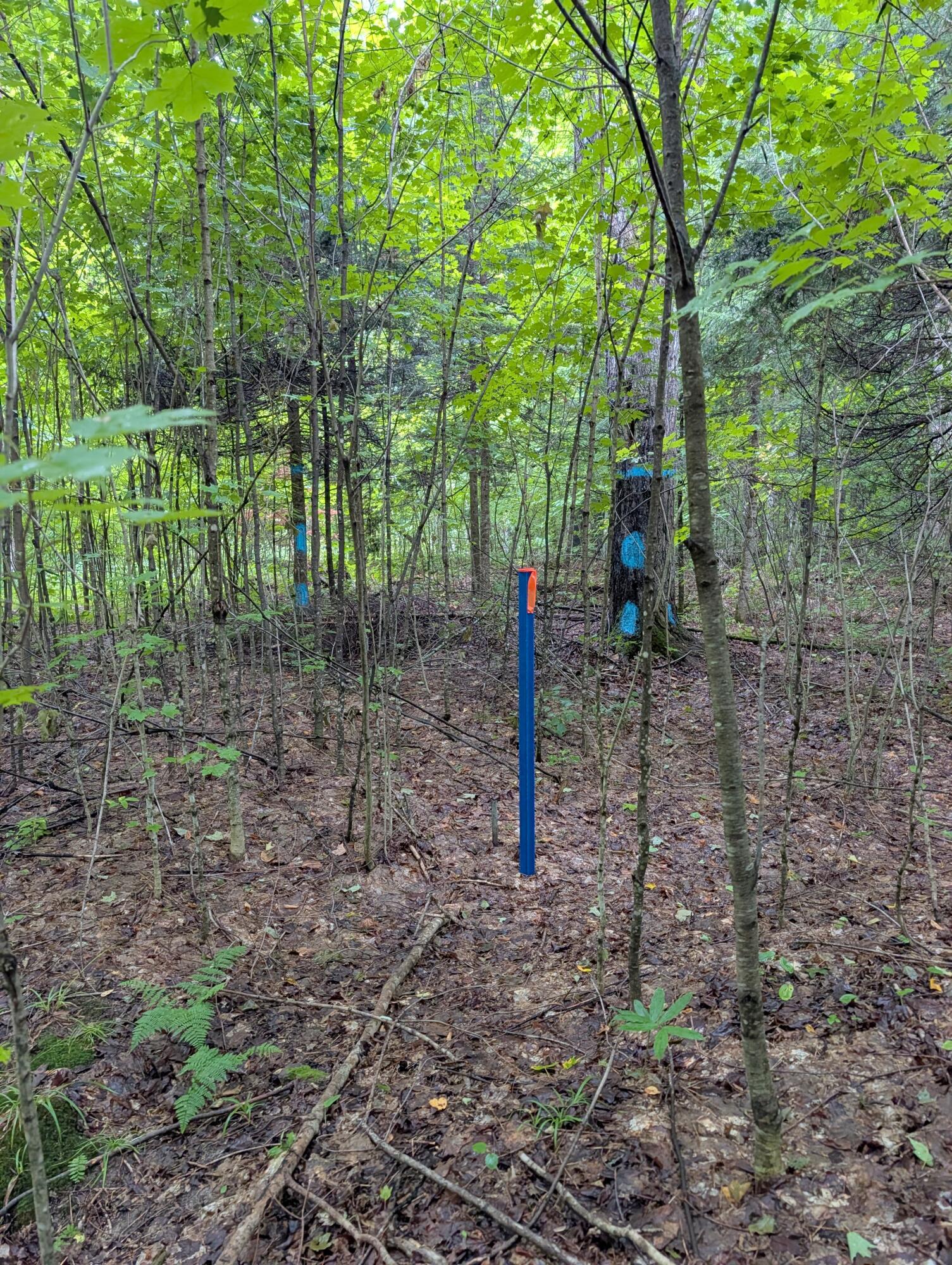 Vl Perrin Brothers Trail Property Photo 35