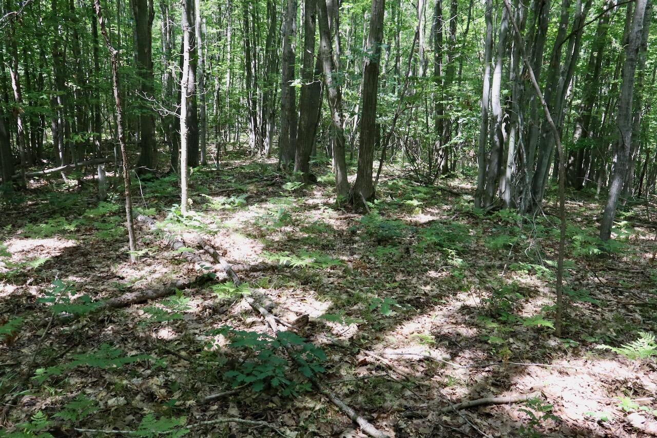 V/l 7 Mile Road Property Photo 21
