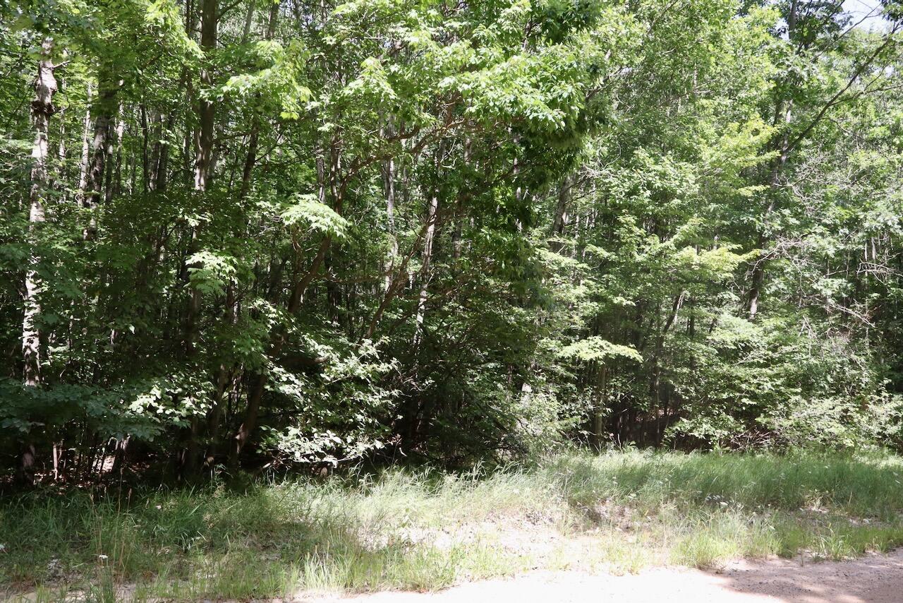 V/l 7 Mile Road Property Photo 24