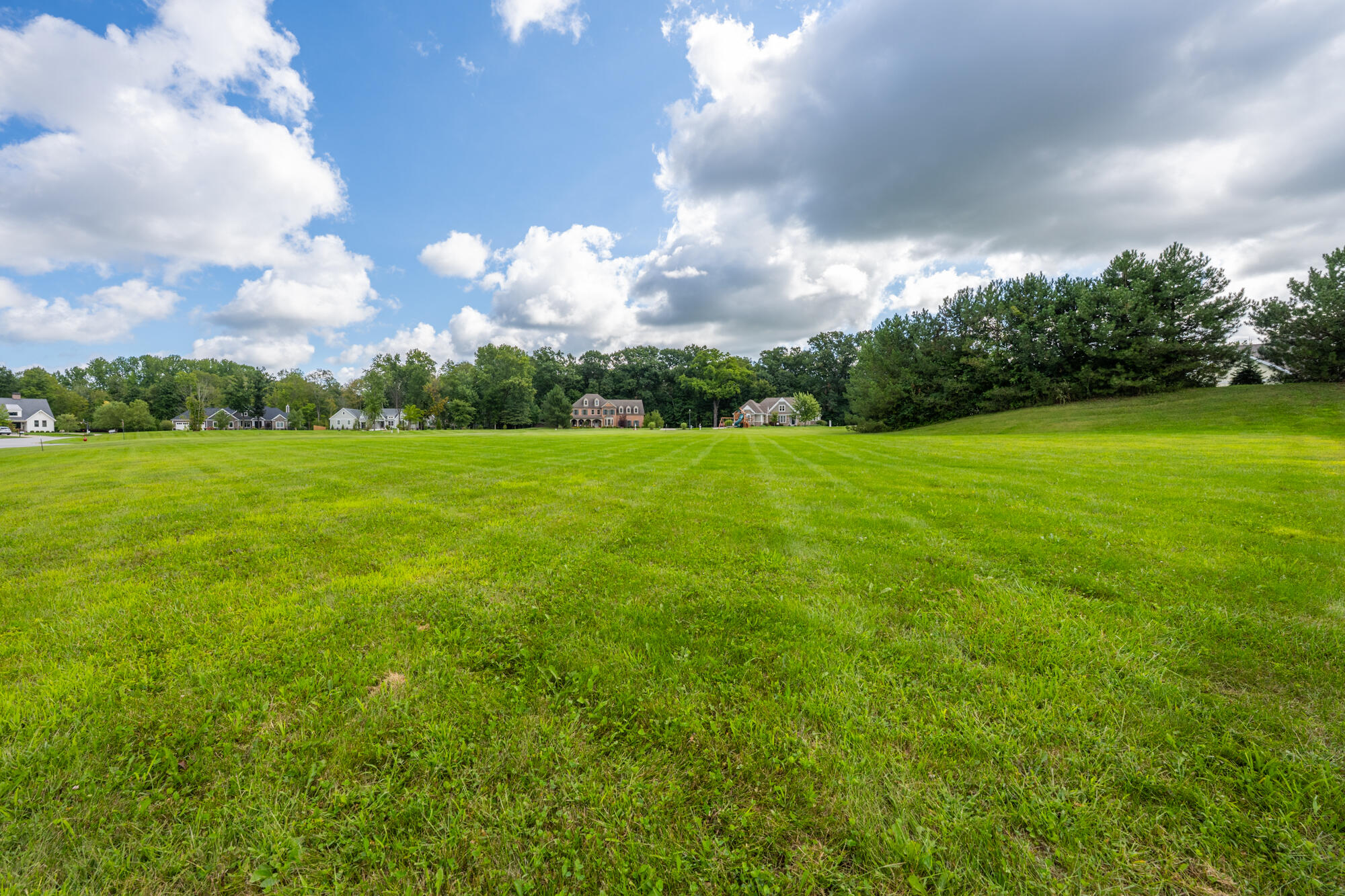 Lot 1 Dickinson Court Property Photo 8