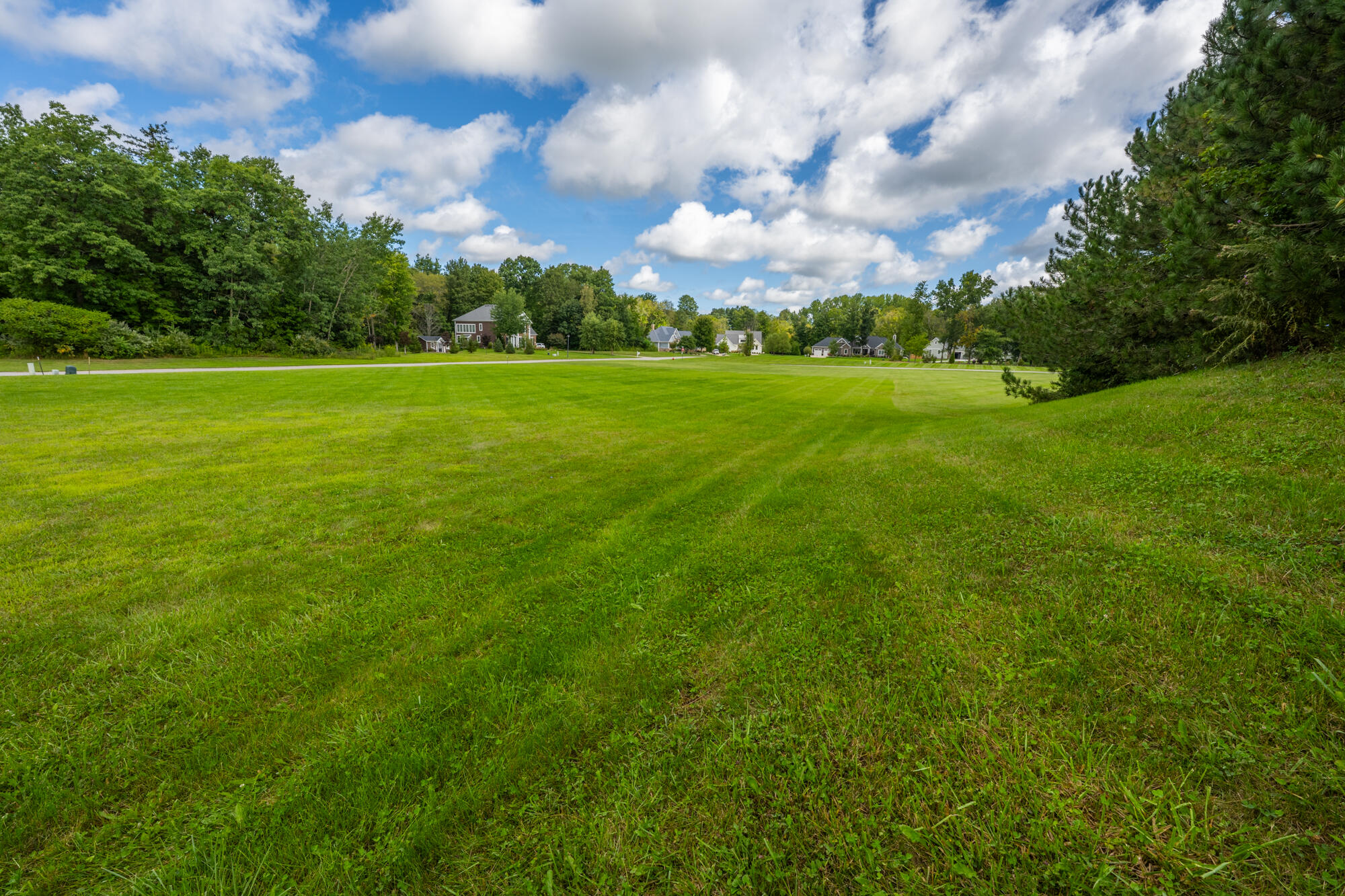 Lot 1 Dickinson Court Property Photo 9