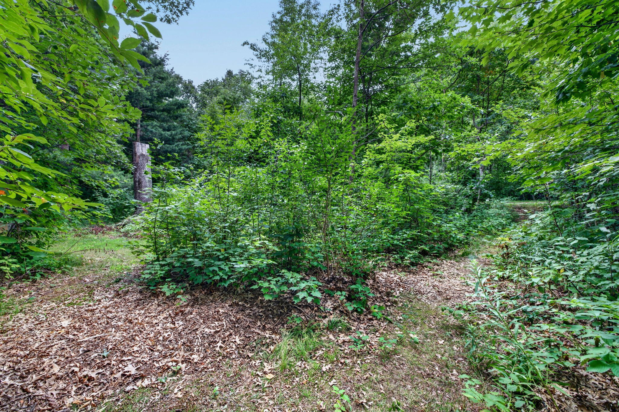 9455 E Lane Drive Property Photo 35