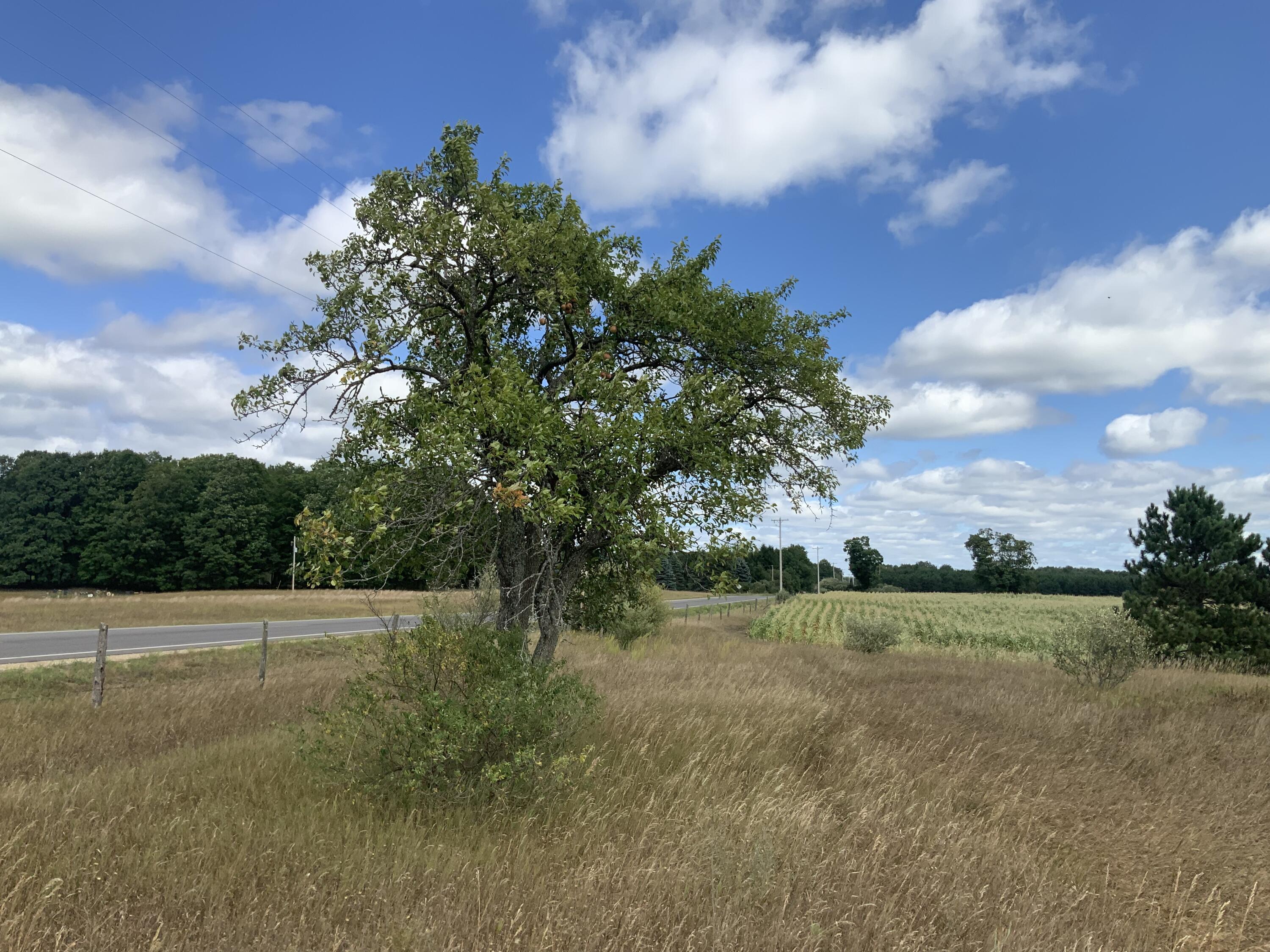 4984 N State Road Property Photo 37