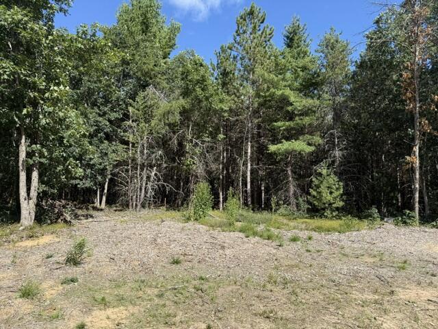 6815 W Dana's Circle Property Photo 16