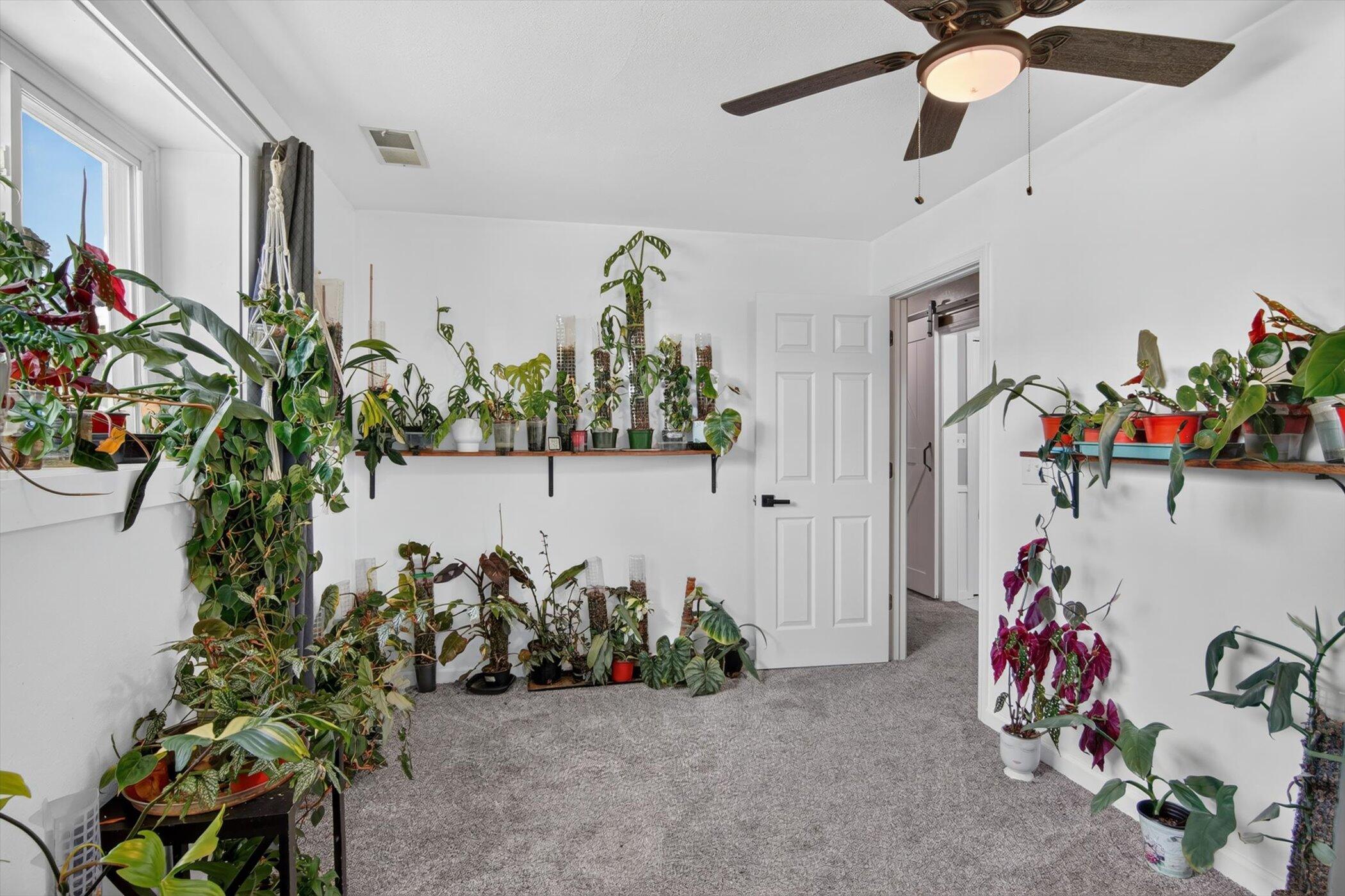 438 South Street Property Photo 37