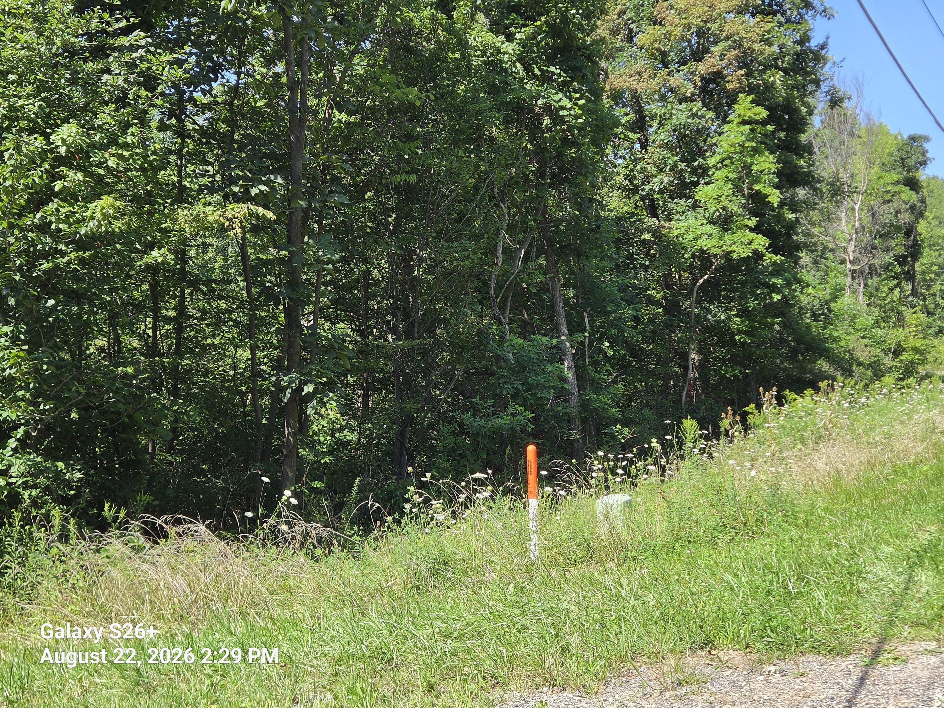 3079 Pershing Drive Property Photo 1
