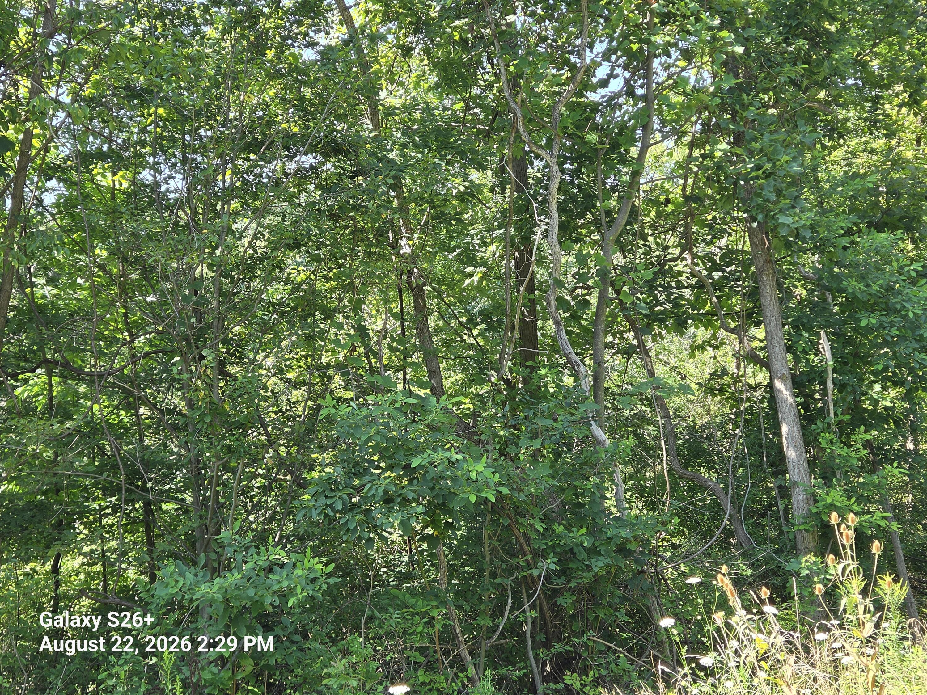 3079 Pershing Drive Property Photo 4