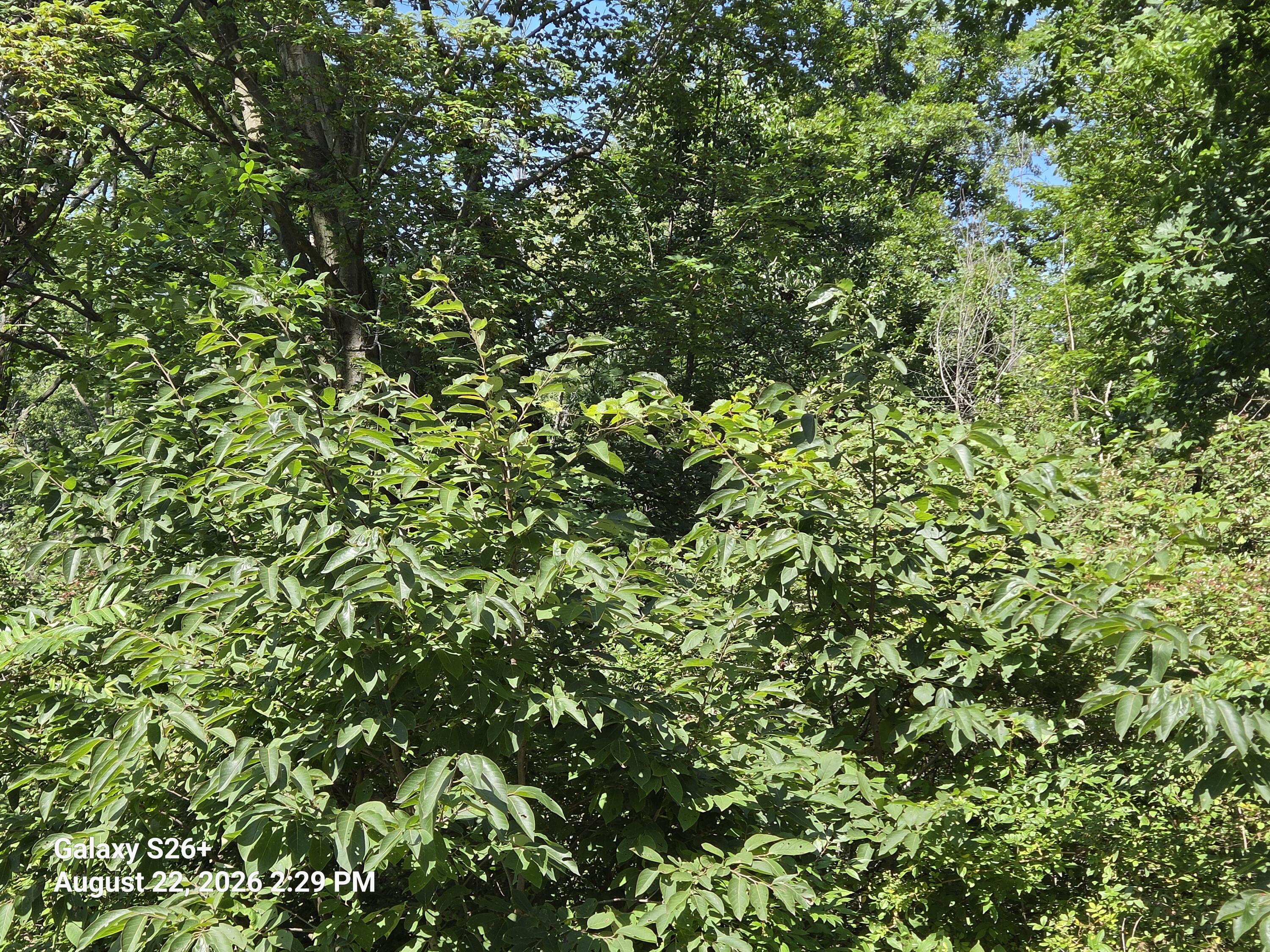 3079 Pershing Drive Property Photo 5