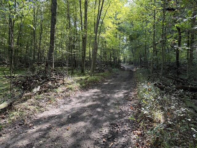 V/l Timber Trail Property Photo 2