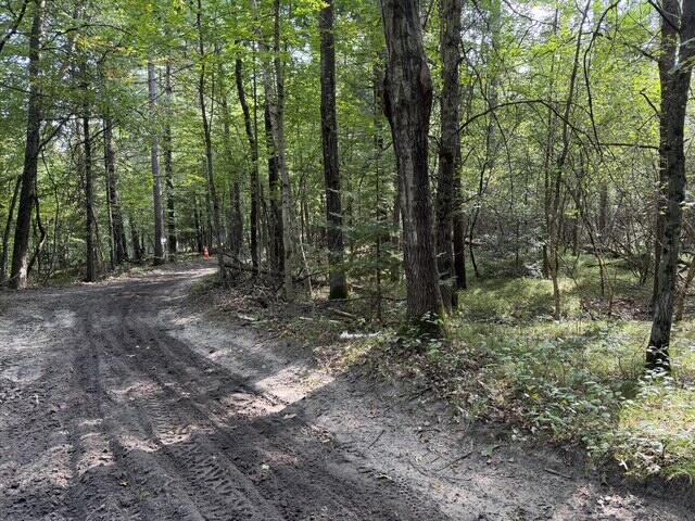V/l Timber Trail Property Photo 4