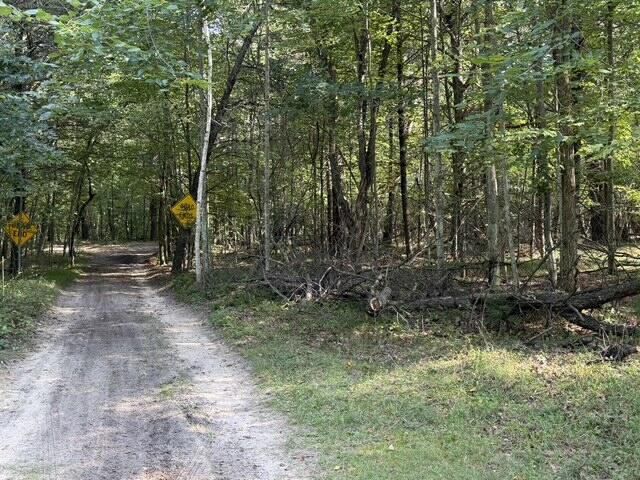 V/l Timber Trail Property Photo 5