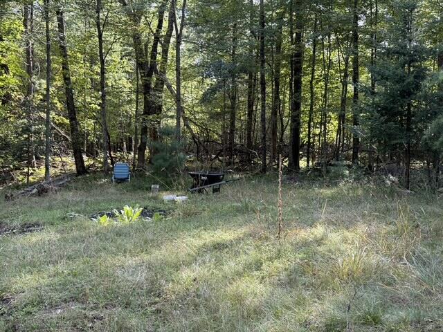 V/l Timber Trail Property Photo 6