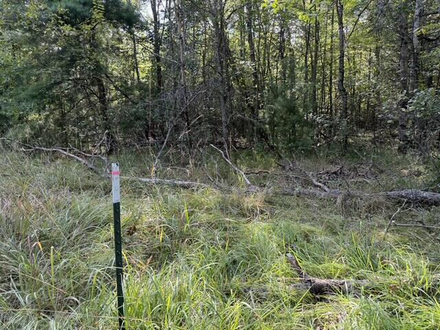 V/l Timber Trail Property Photo 7