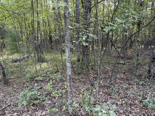 V/l Timber Trail Property Photo 8