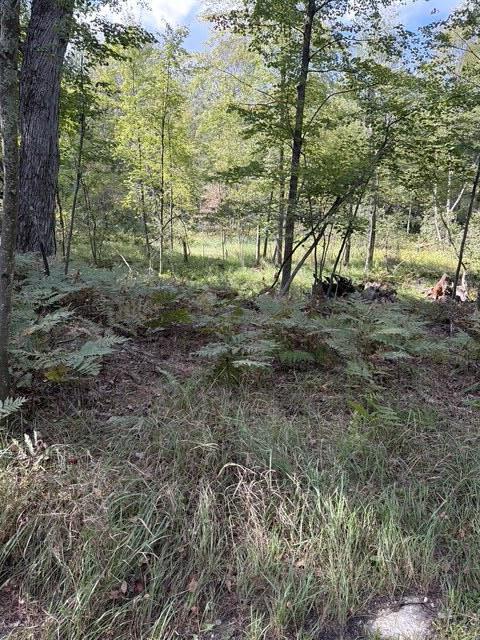 V/l Timber Trail Property Photo 10
