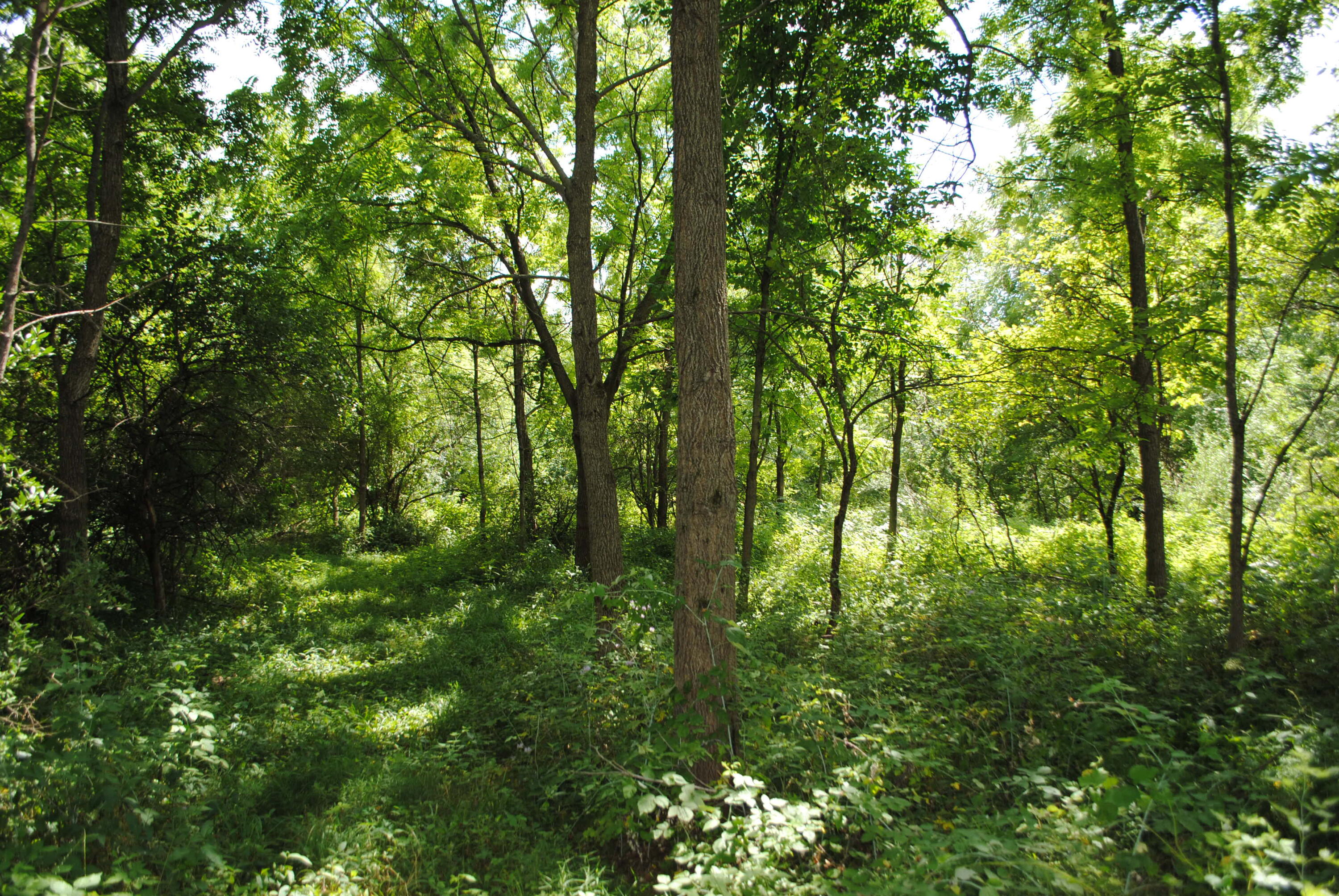 3173 Luna Drive Property Photo 10