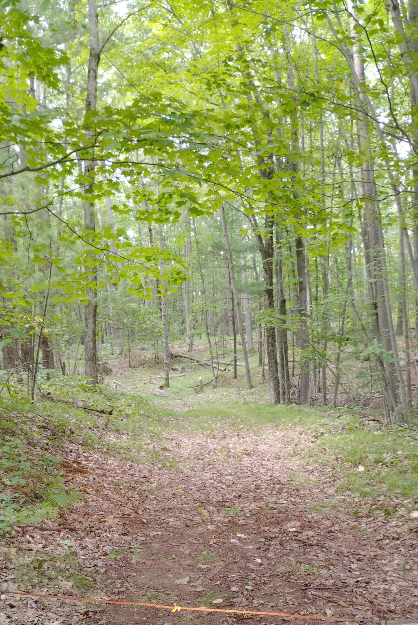 3+/- Acres S Frank Smith Road Property Photo 1