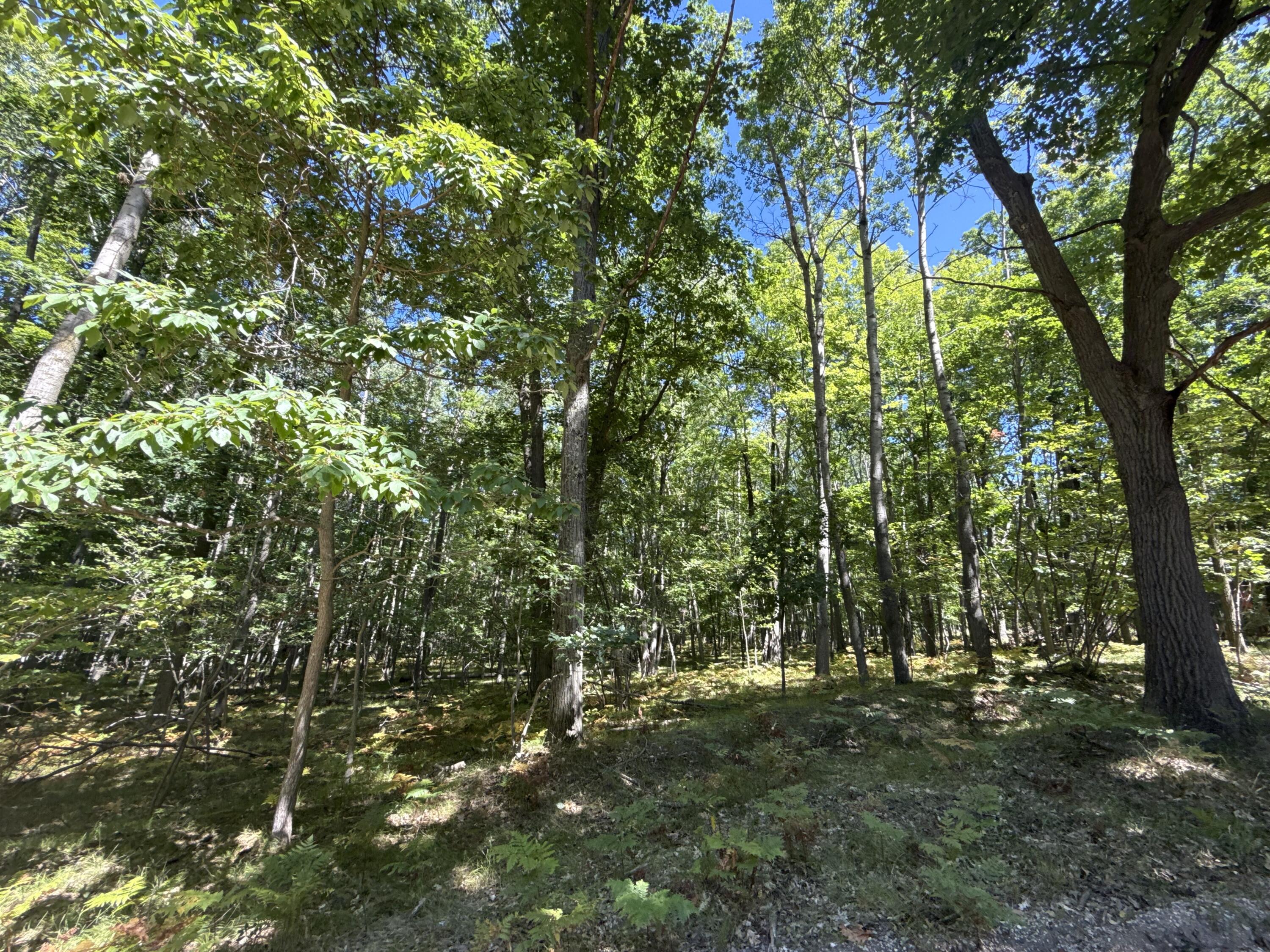 12090 Dubois Drive Property Photo 4