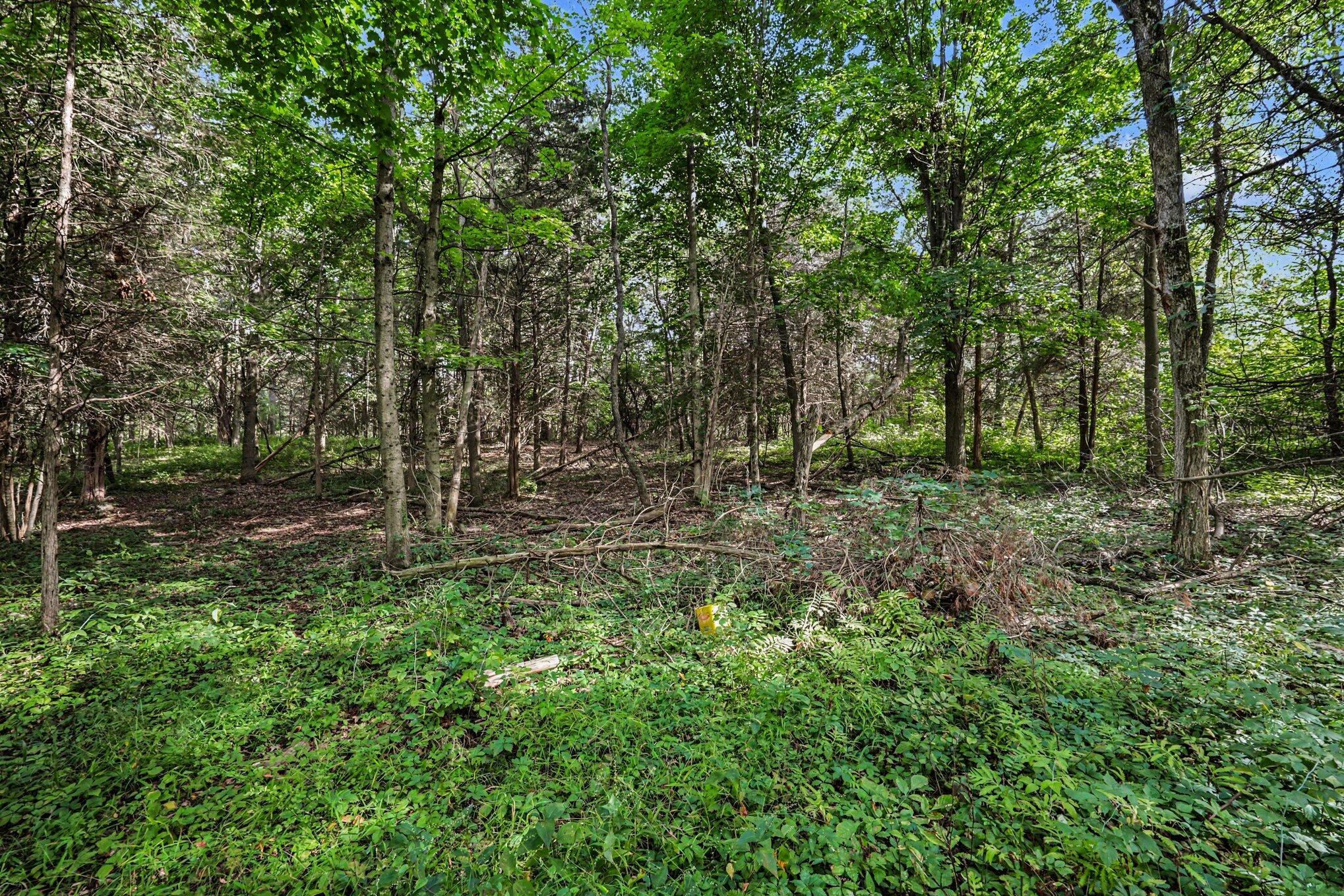 Vl E Riverside Drive Property Photo 21