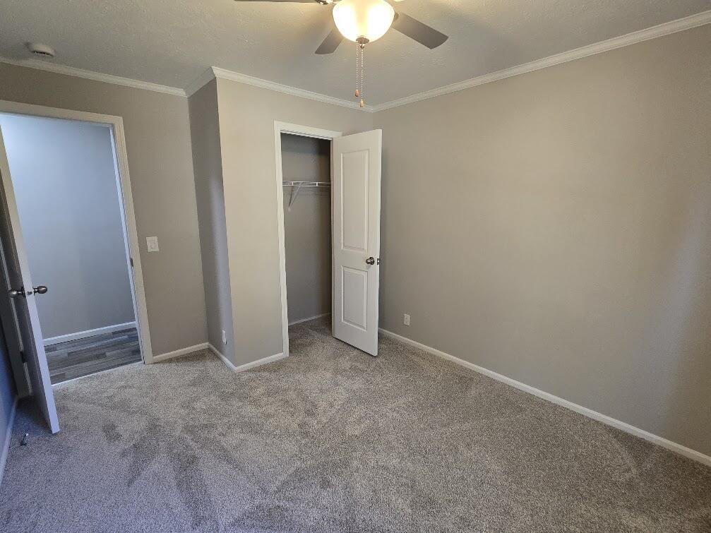 685 S Bingham Avenue Property Photo 19