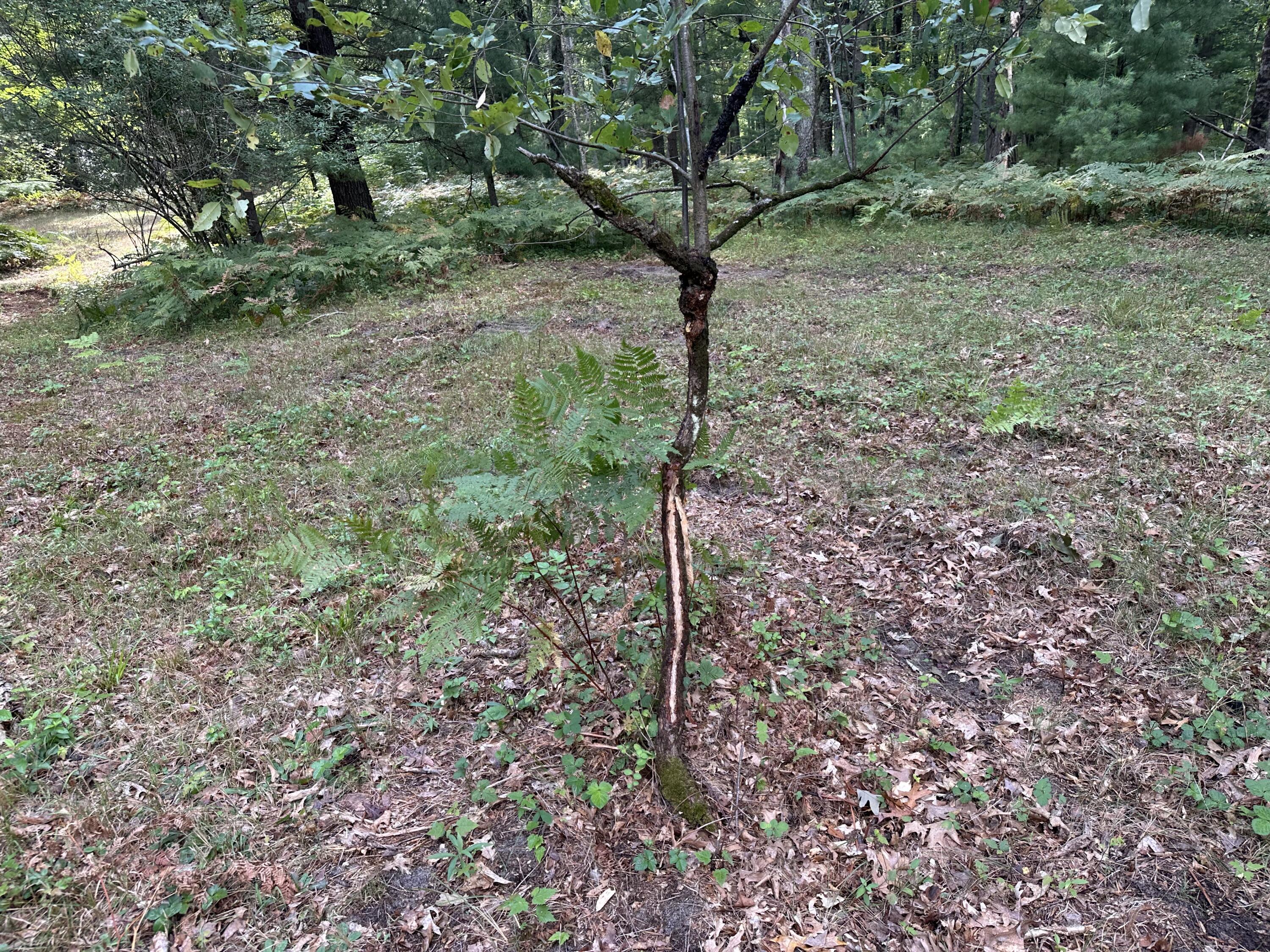 Beaver Road Property Photo 1