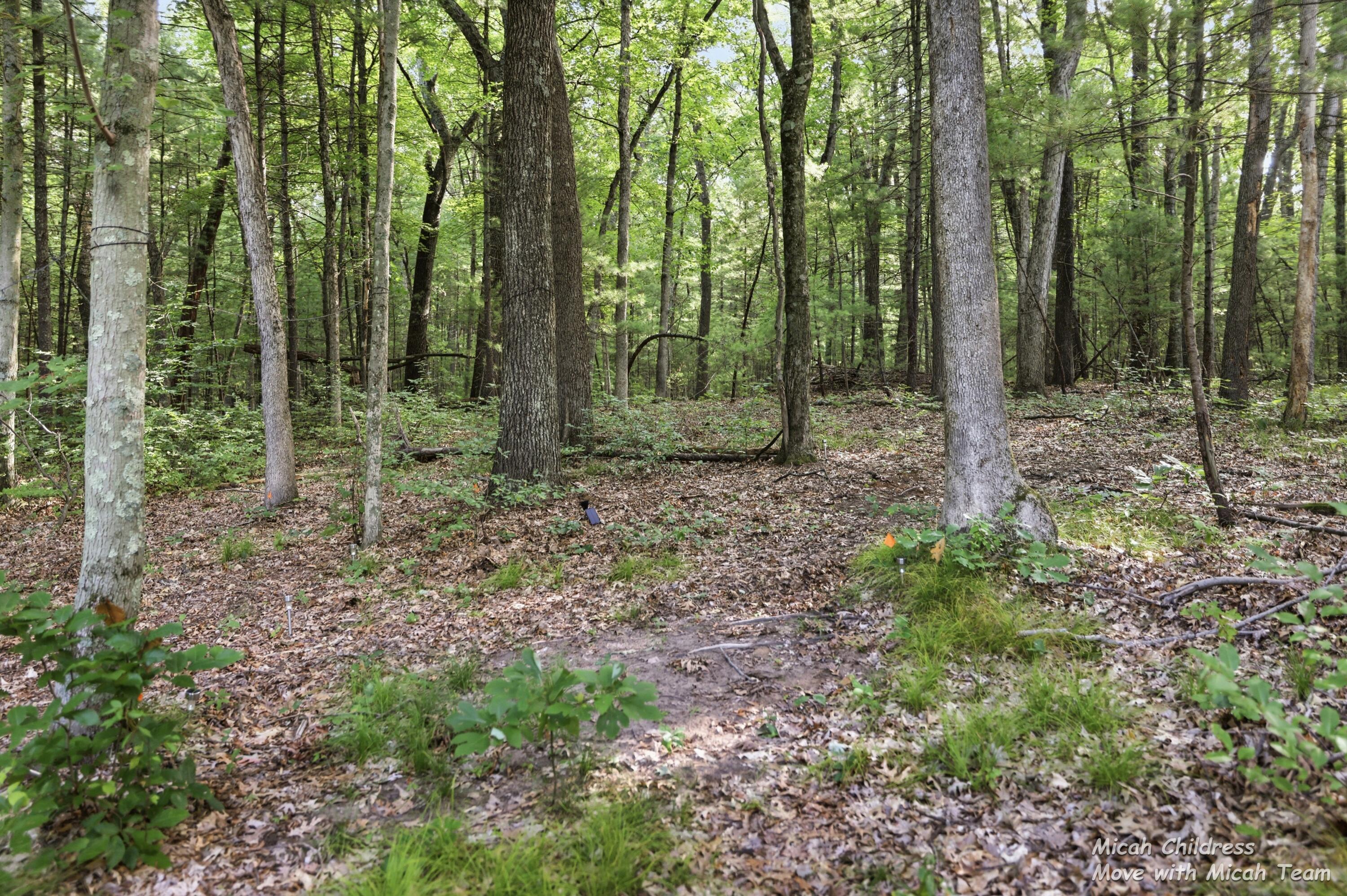 3813 Ryan Woods Circle Property Photo 57