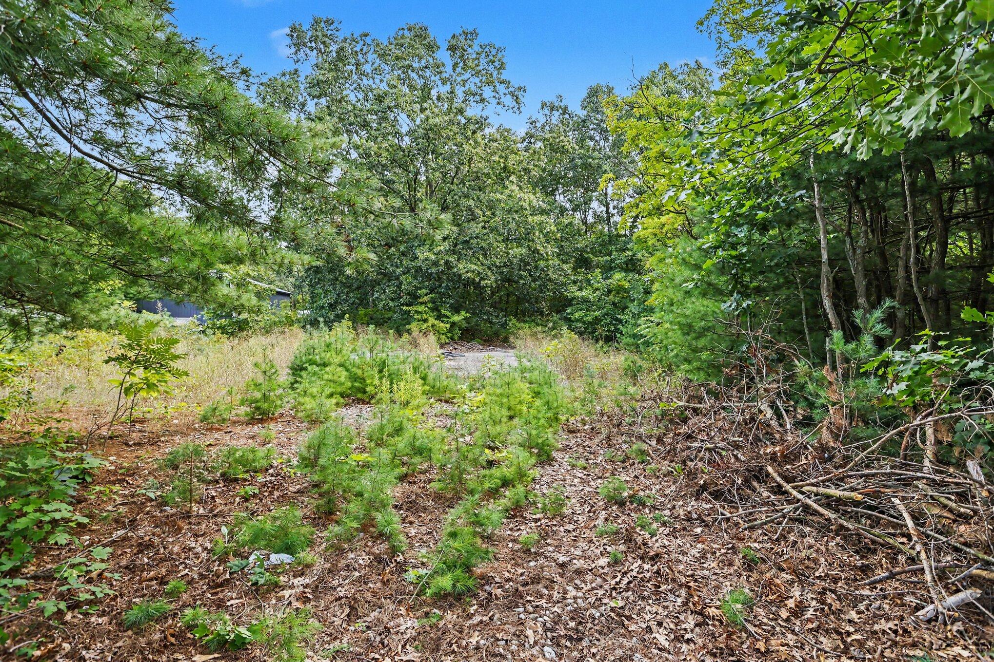 76360 County Road 378 Property Photo 4