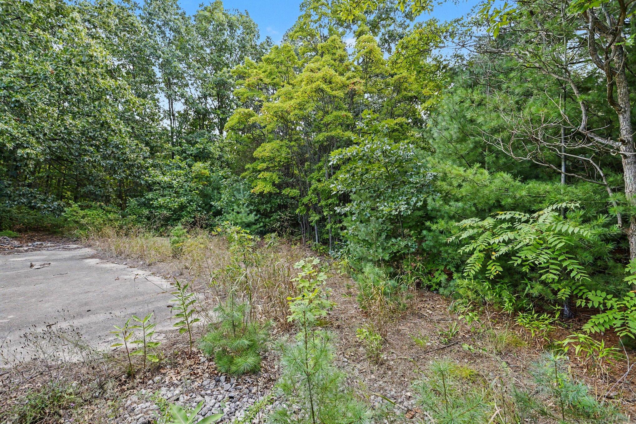 76360 County Road 378 Property Photo 6