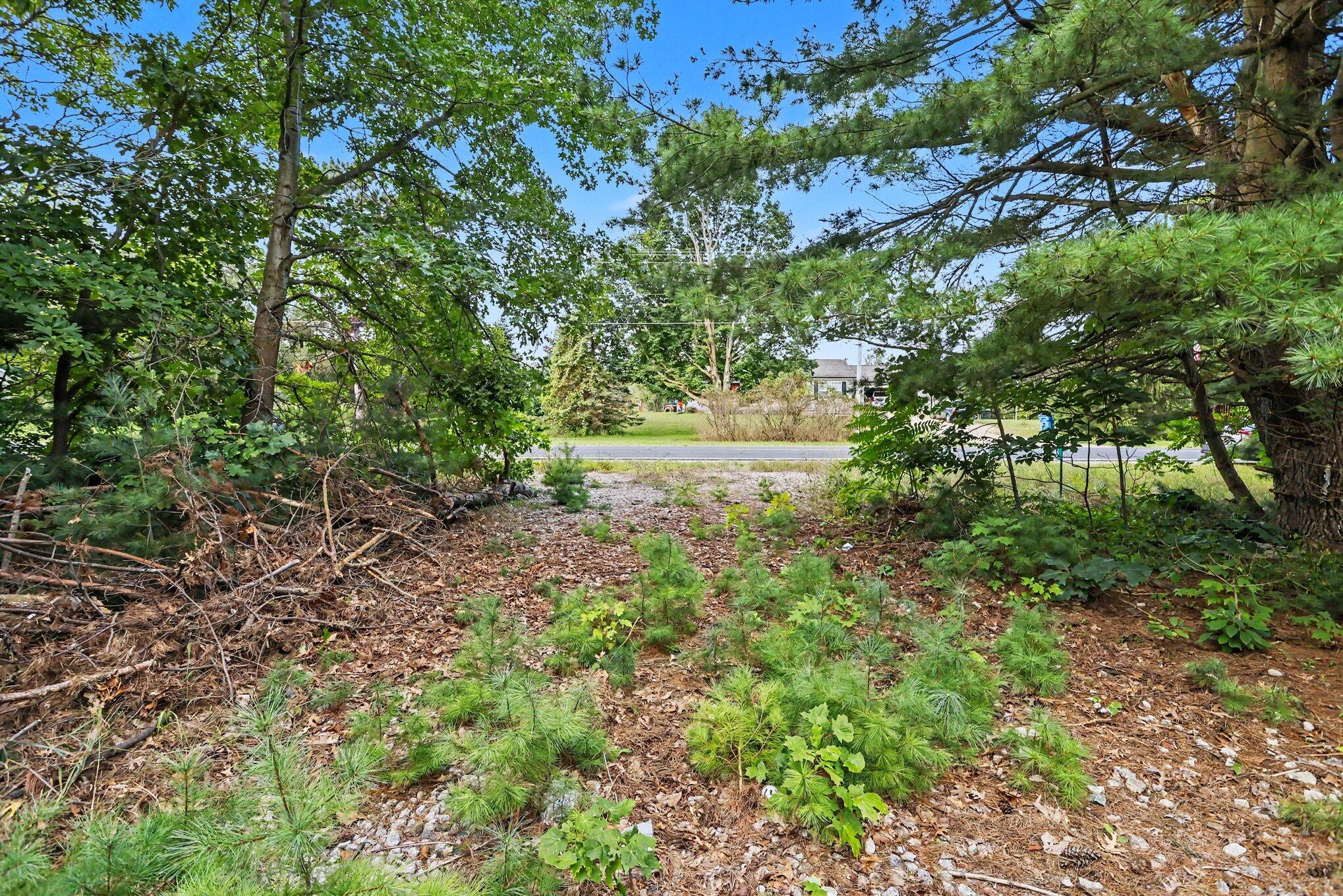 76360 County Road 378 Property Photo 7