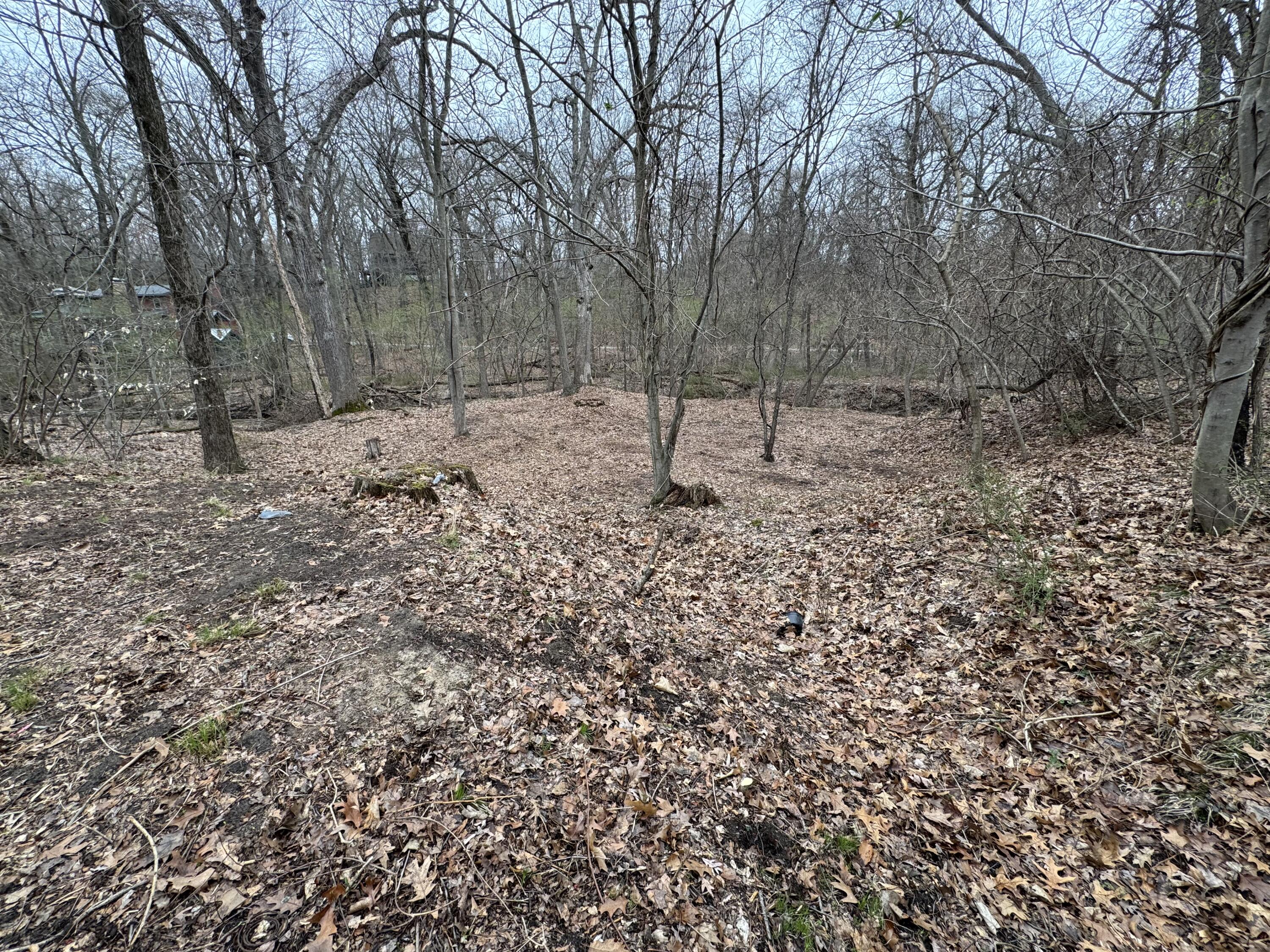 4202 Grand Beach Road Property Photo 1
