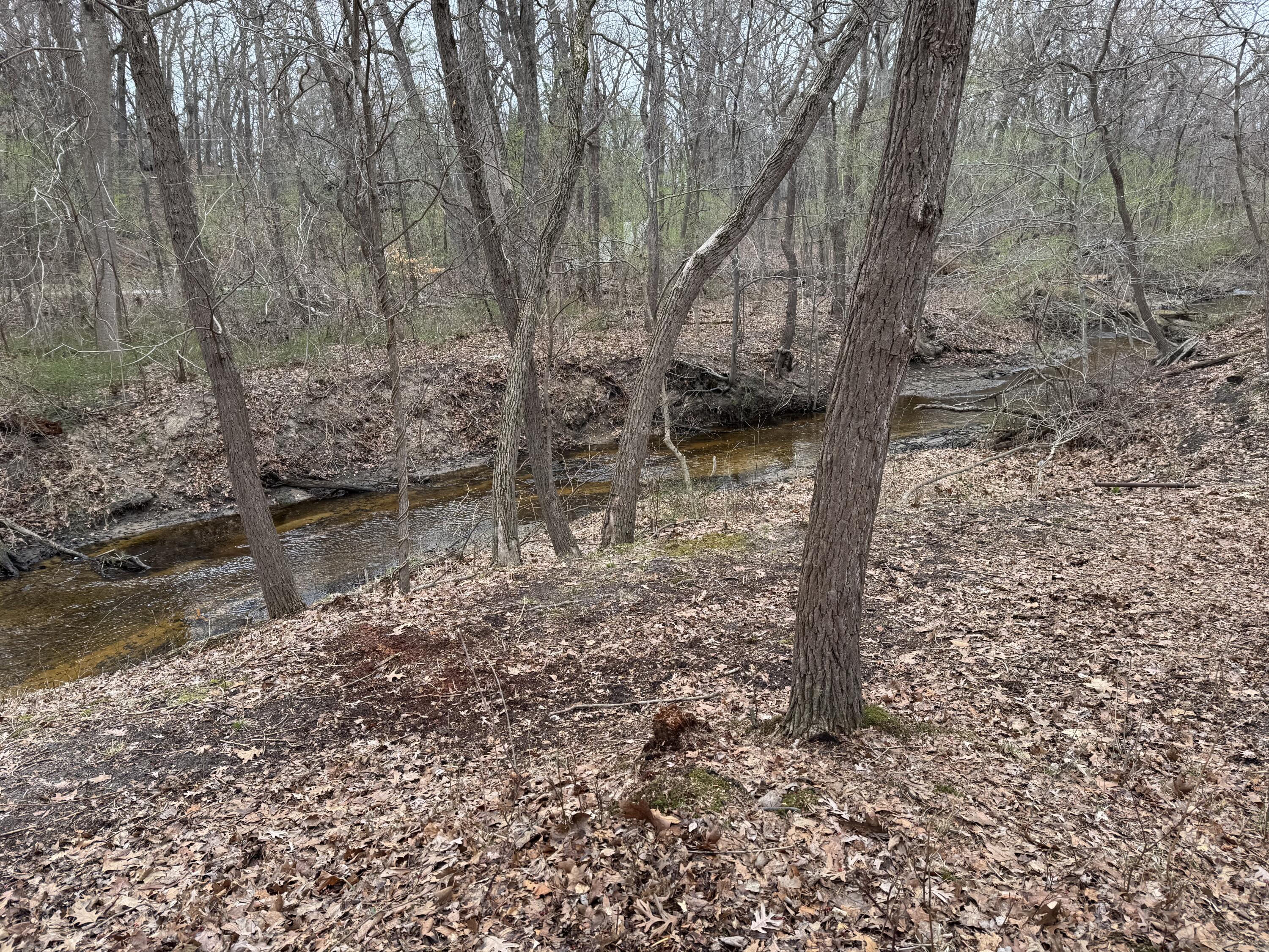 4202 Grand Beach Road Property Photo 4