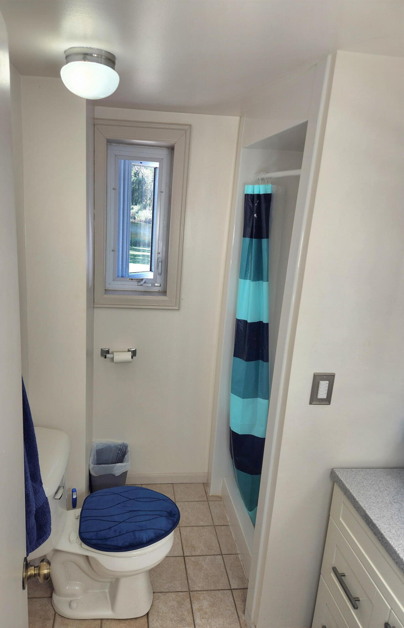 6541 Ackerson Lake Road Property Photo 44