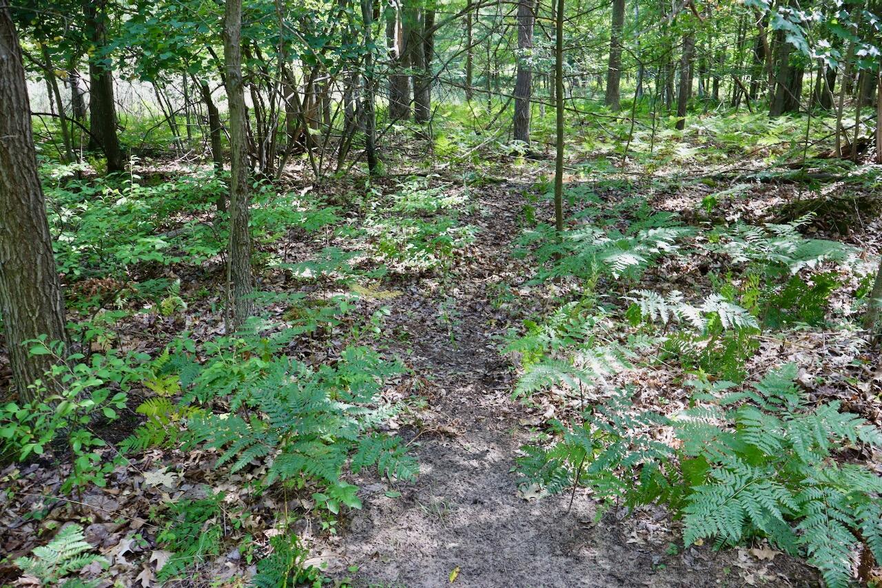 00 Ward Road Property Photo 13