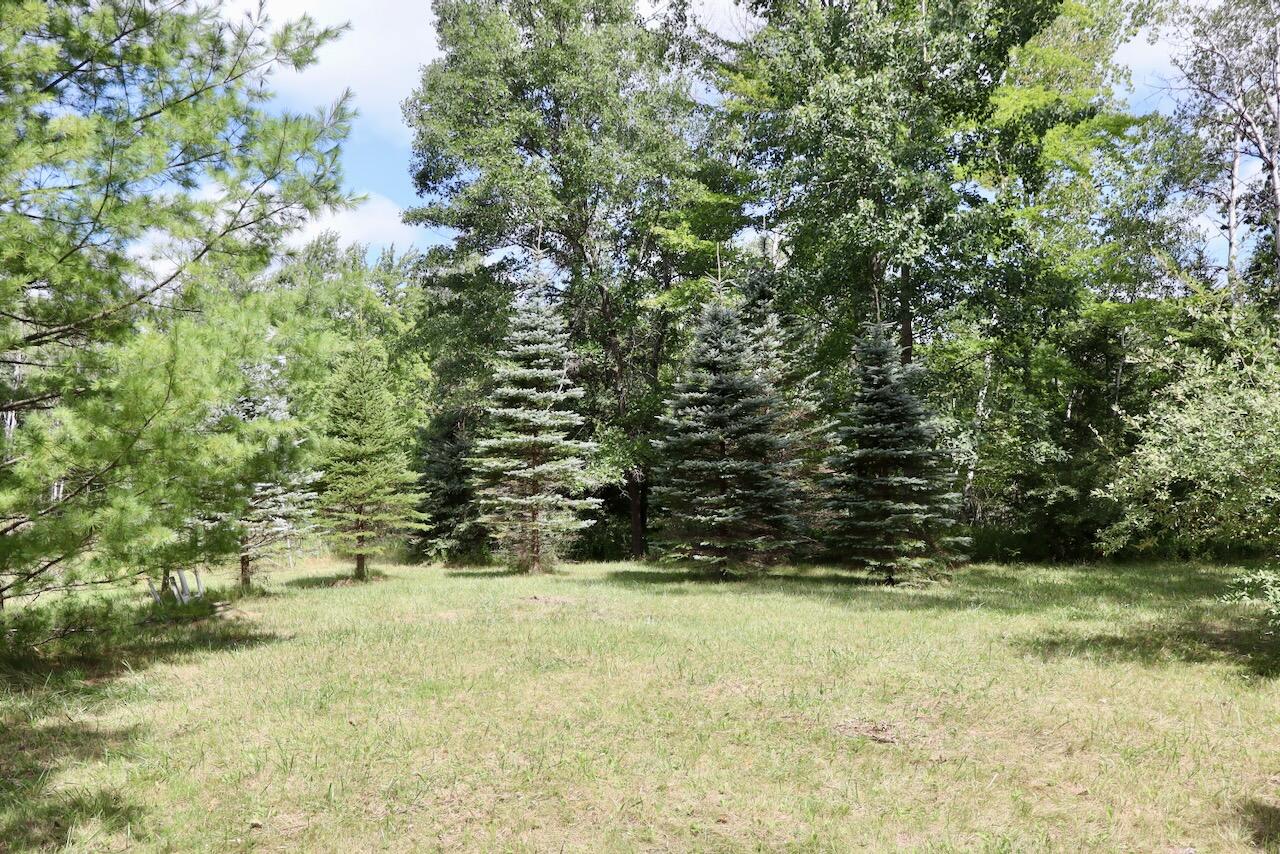 00 Ward Road Property Photo 19