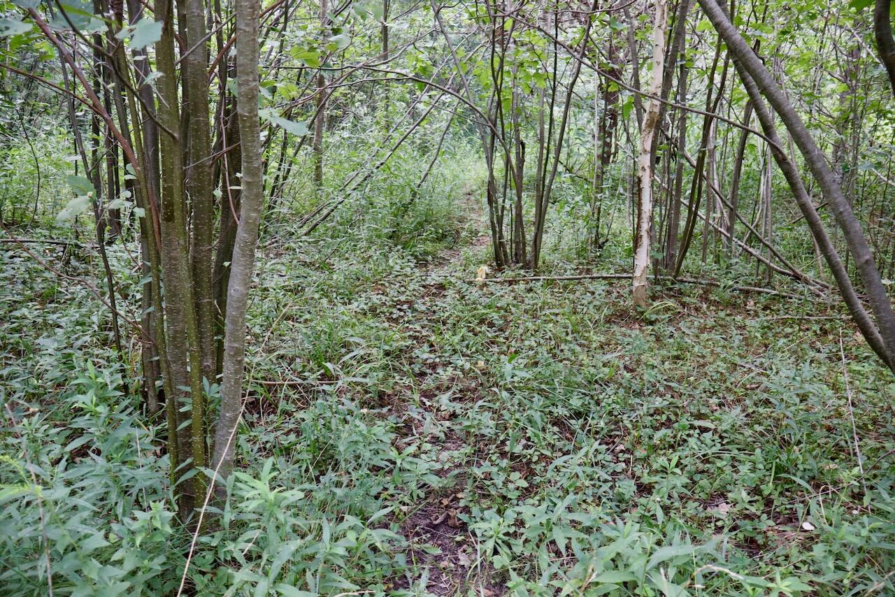 00 Ward Road Property Photo 31