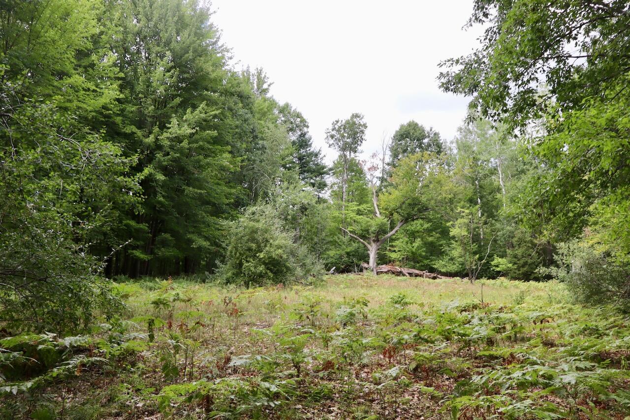 00 Ward Road Property Photo 33