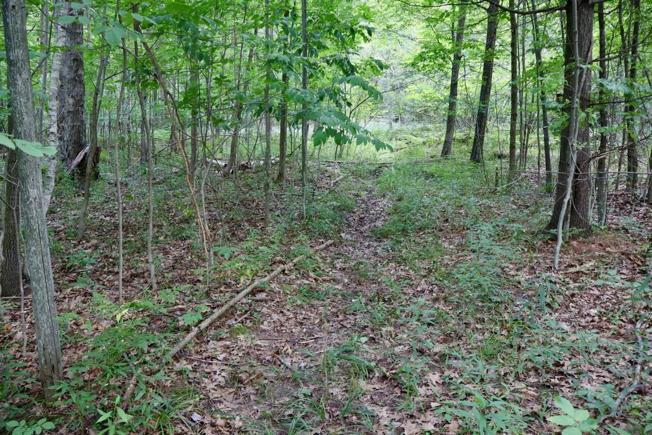 00 Ward Road Property Photo 34