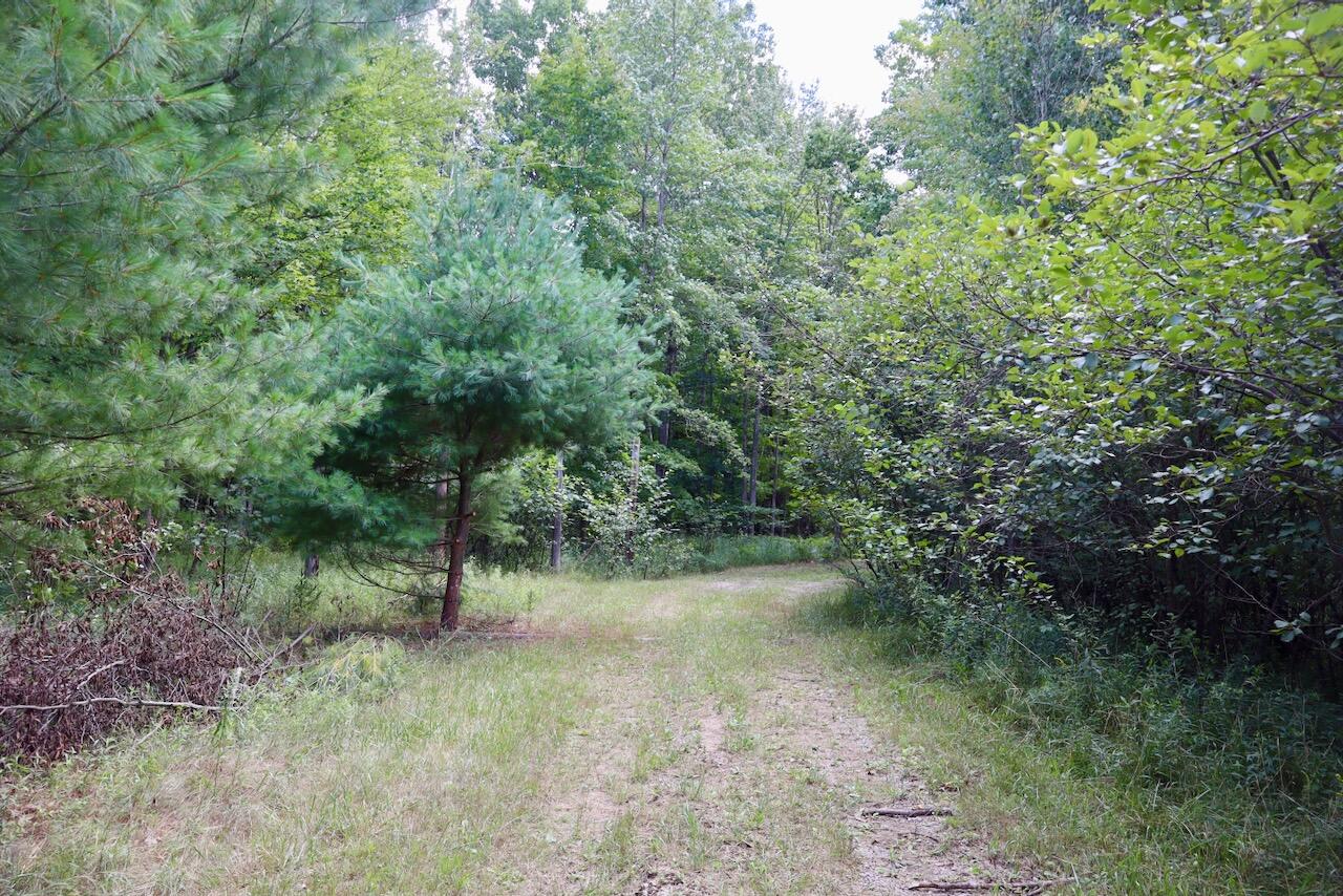 00 Ward Road Property Photo 36