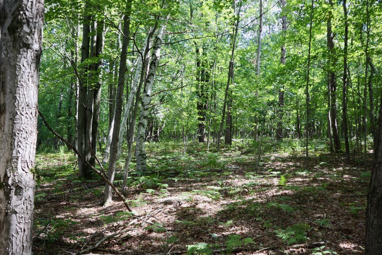 00 Ward Road Property Photo 38