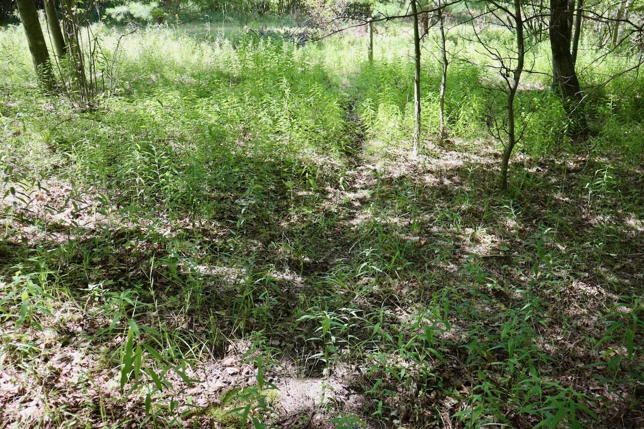 00 Ward Road Property Photo 39