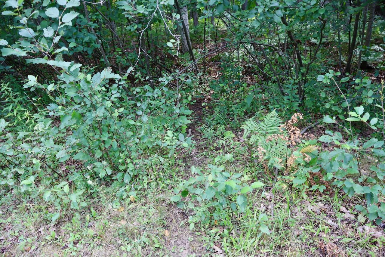 00 Ward Road Property Photo 42
