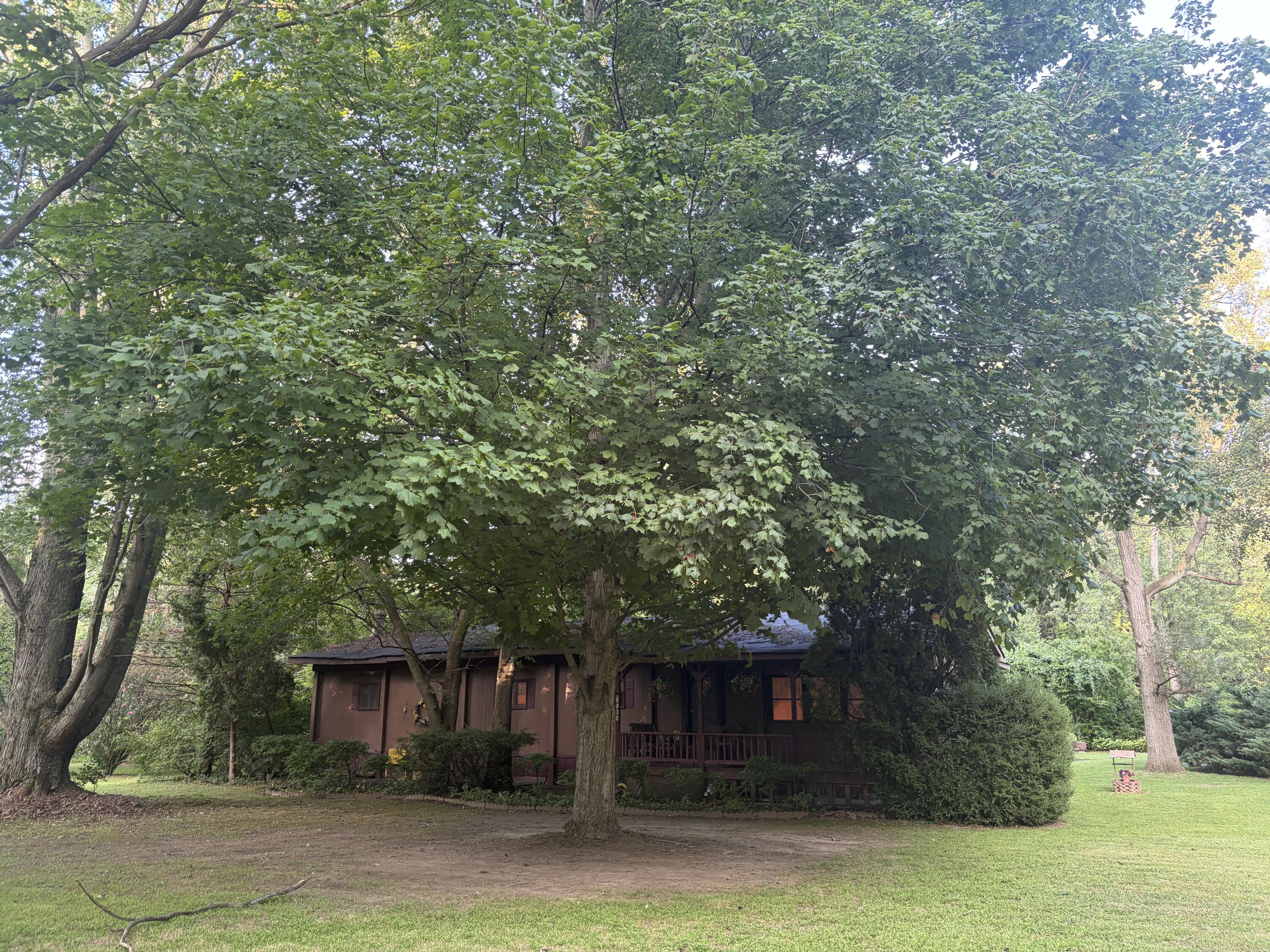 8830 Zion Road