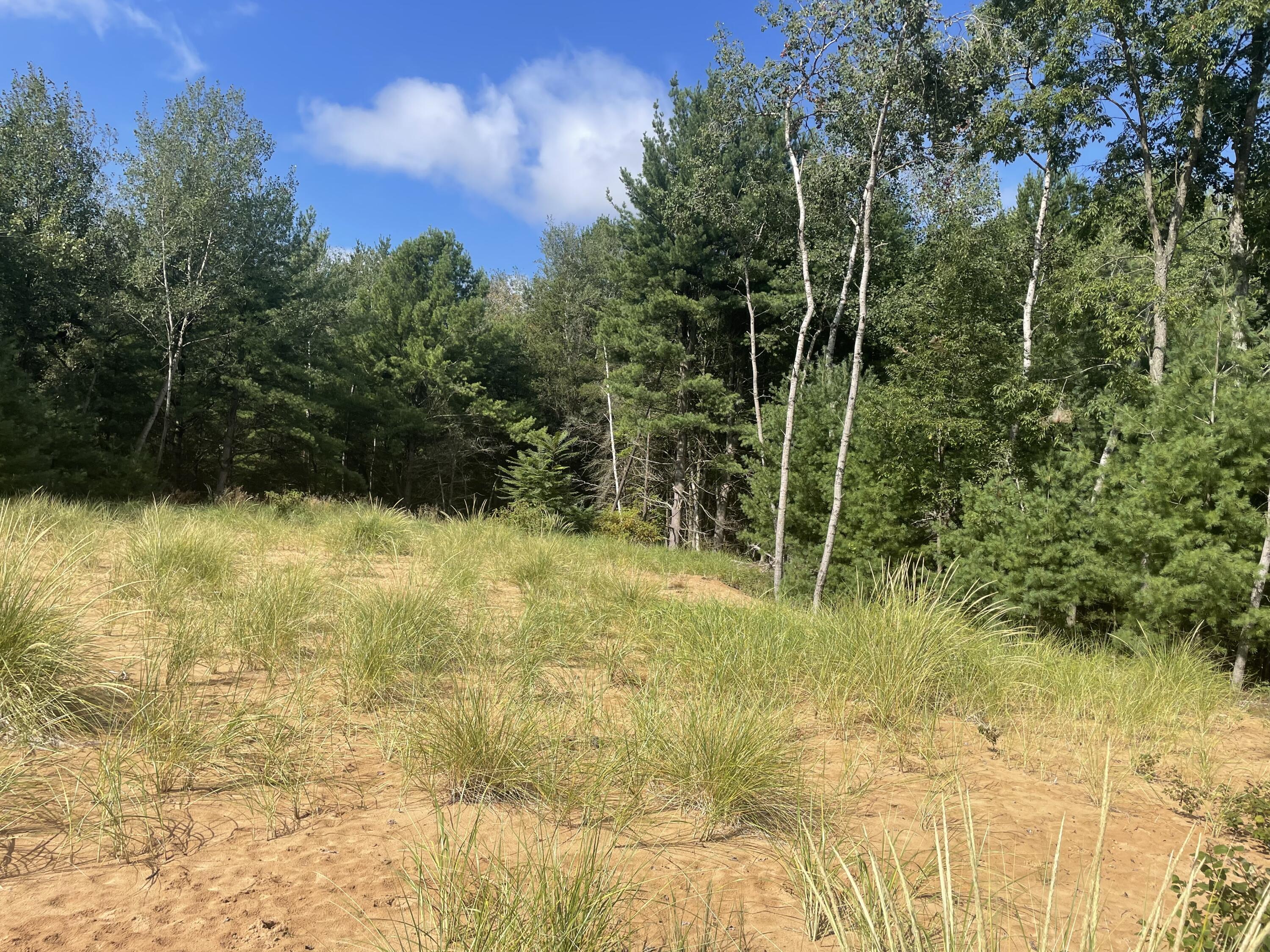 6367 N Dune Grass Trail Property Photo 1